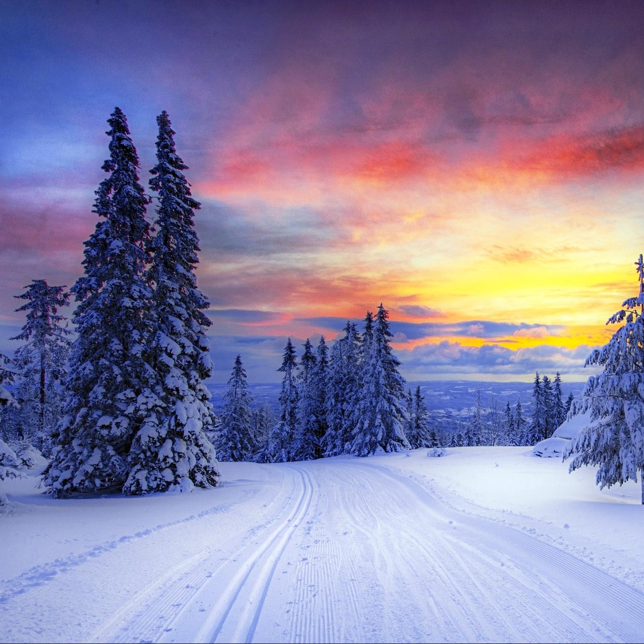 Download wallpaper 1280x1280 norway, winter, forest, snow