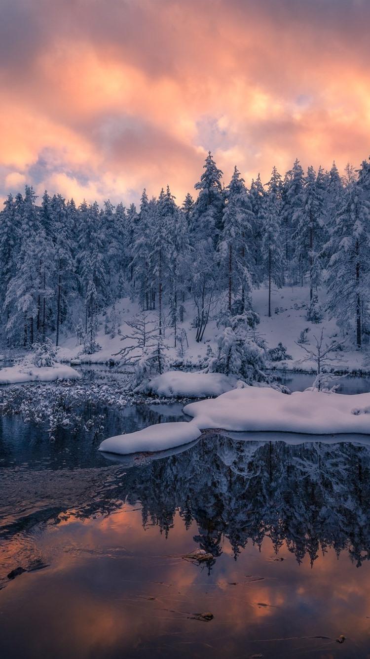 Wallpaper Norway, trees, winter, snow, sunset 1920x1200 HD