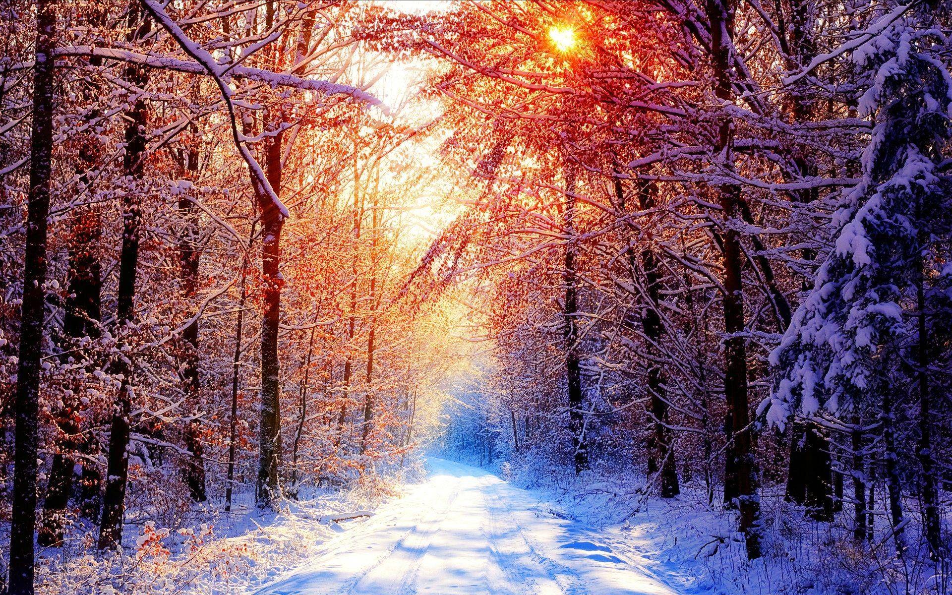Early Winter Morning. Winter wallpaper desktop, Free winter