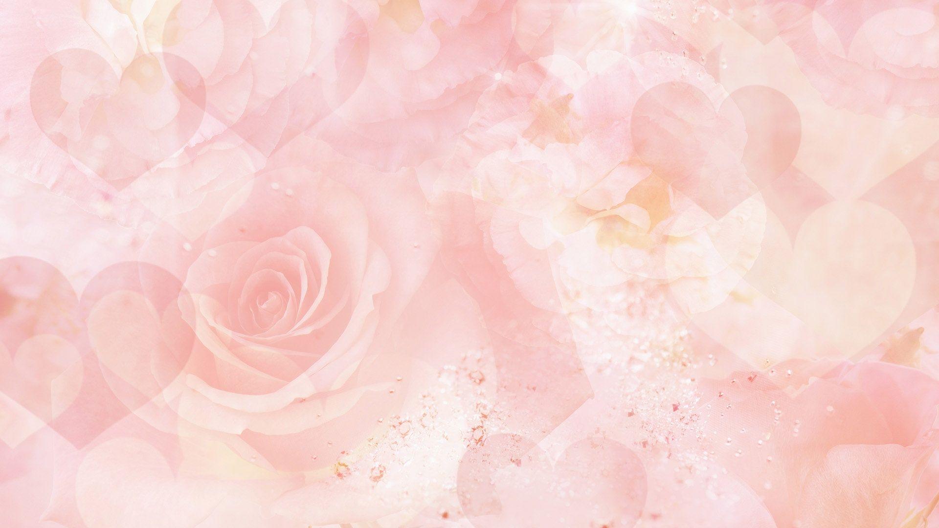 Background Flower 9 HD Wallpaper 1080p. Flower