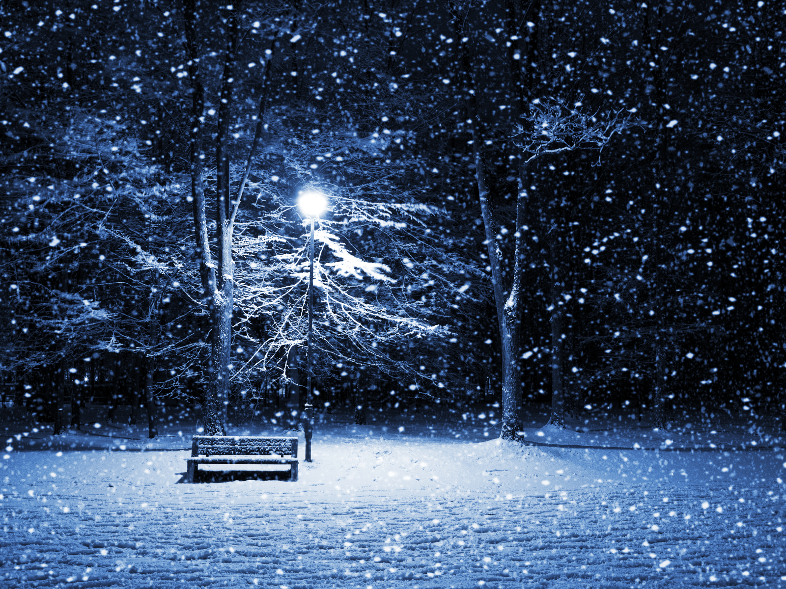 Winter Dreaming Place Wallpaper