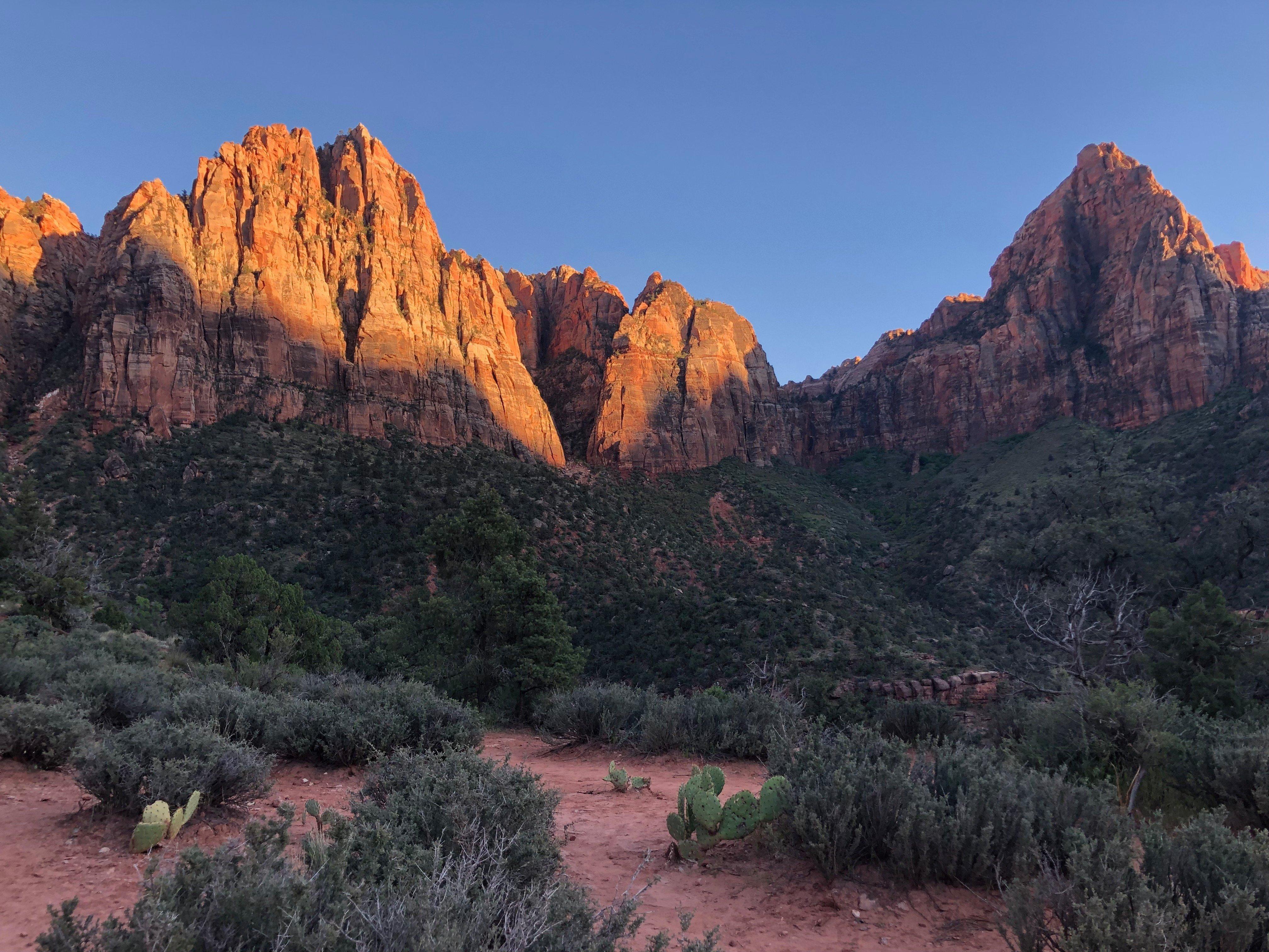 Insider Things to Know Before Traveling in Zion National Park