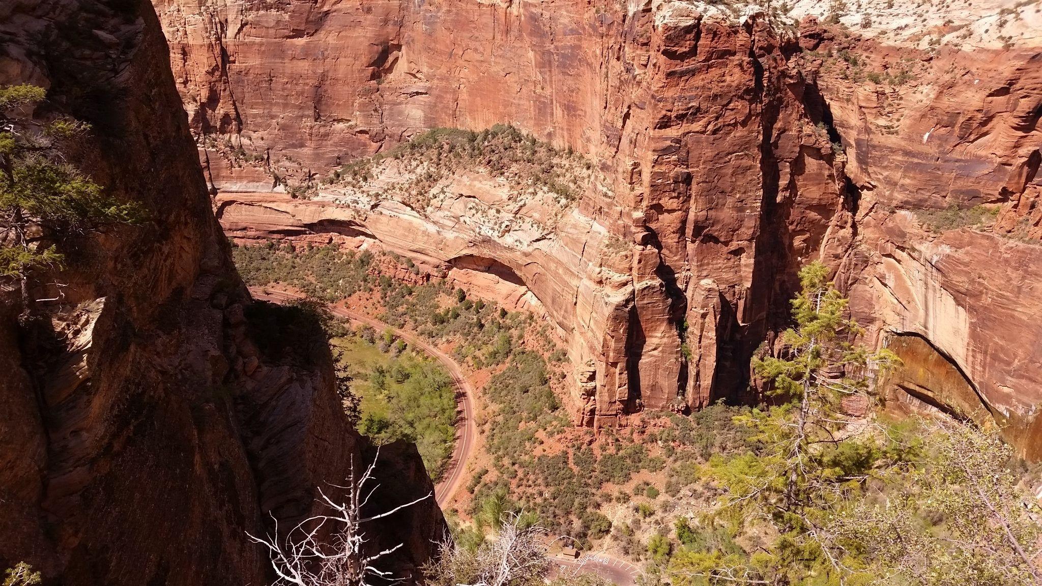 Best Trails in Zion National Park