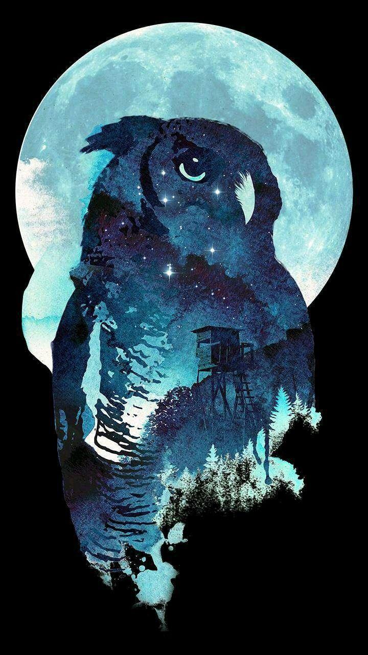 Night owl. Cute animal drawings kawaii, Night owl tattoo
