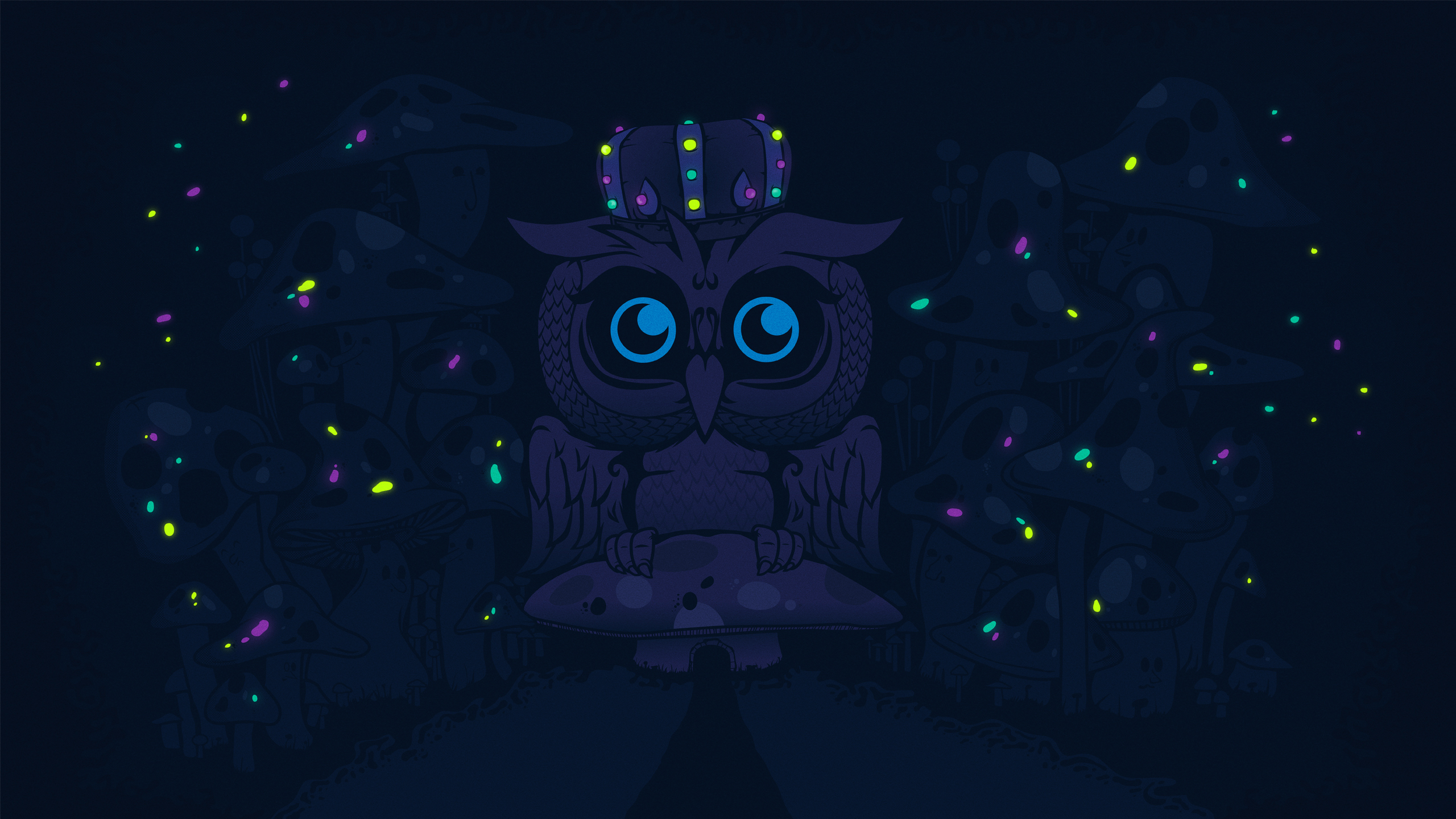 Night owl HD Wallpaper