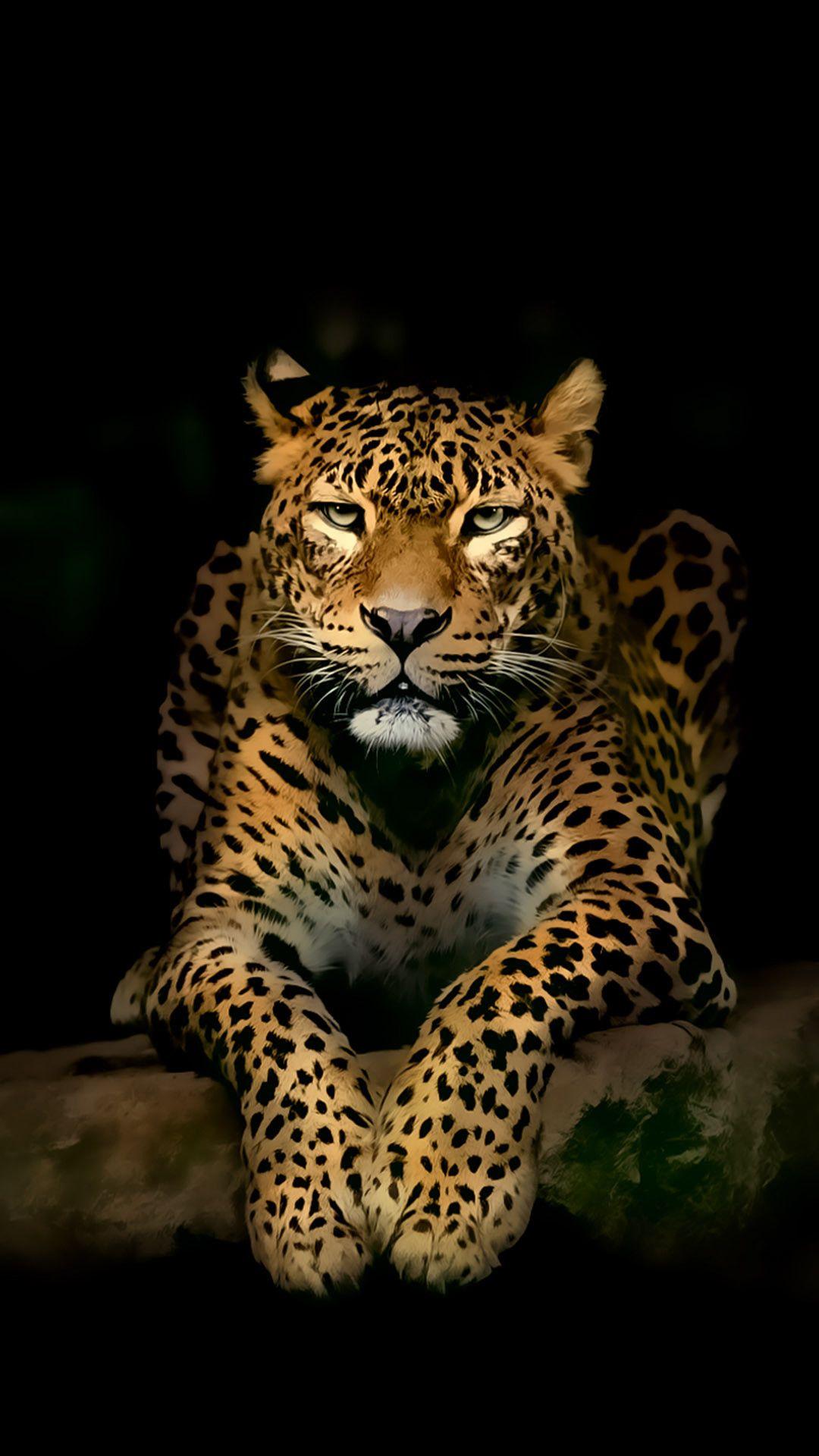 Ultra HD Wallpaper For iPhone - Jaguar