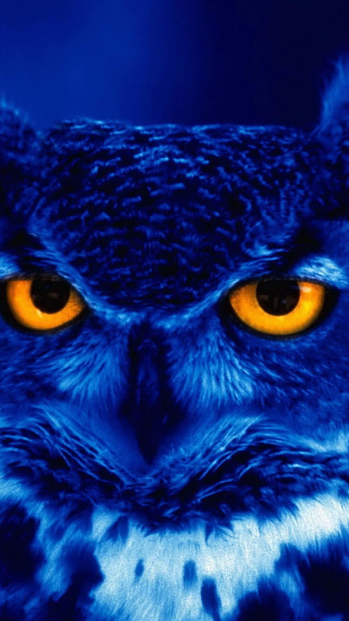 Owl iPhone Wallpaper