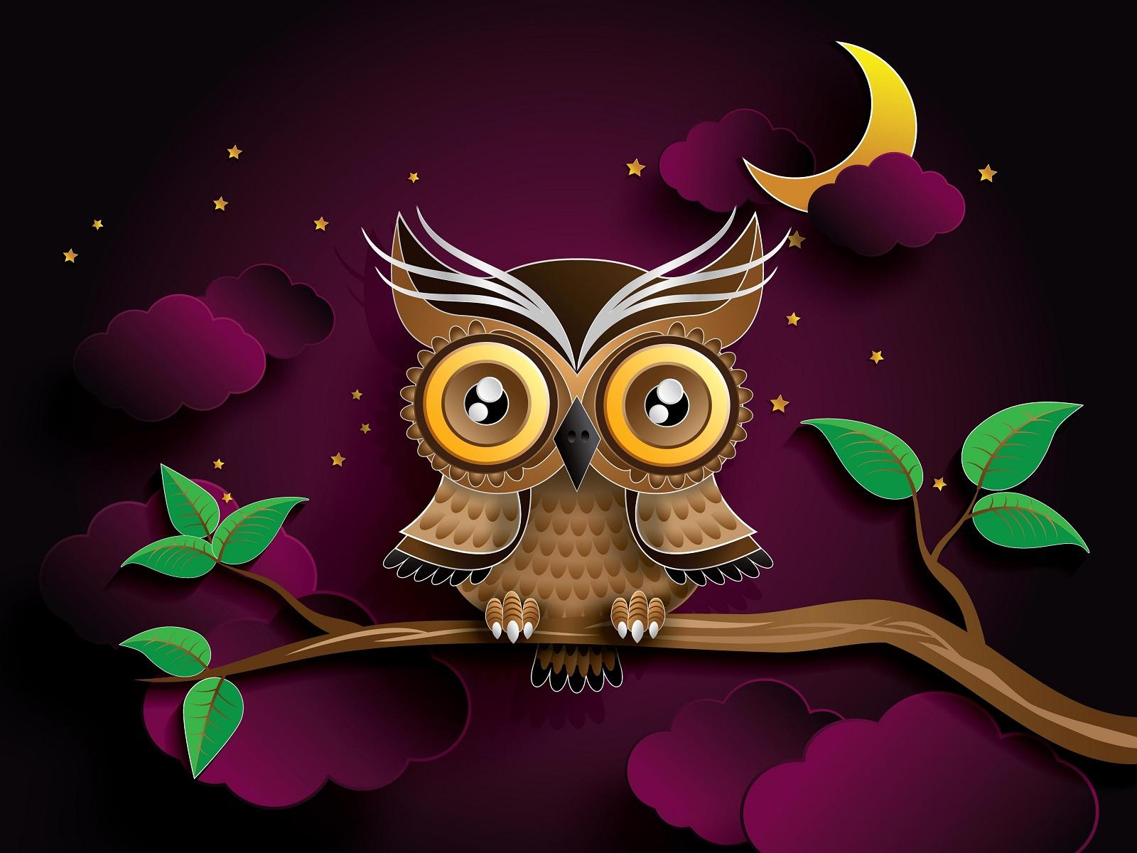 Good night Owl and purple animated sky. HD Wallpaper Rocks