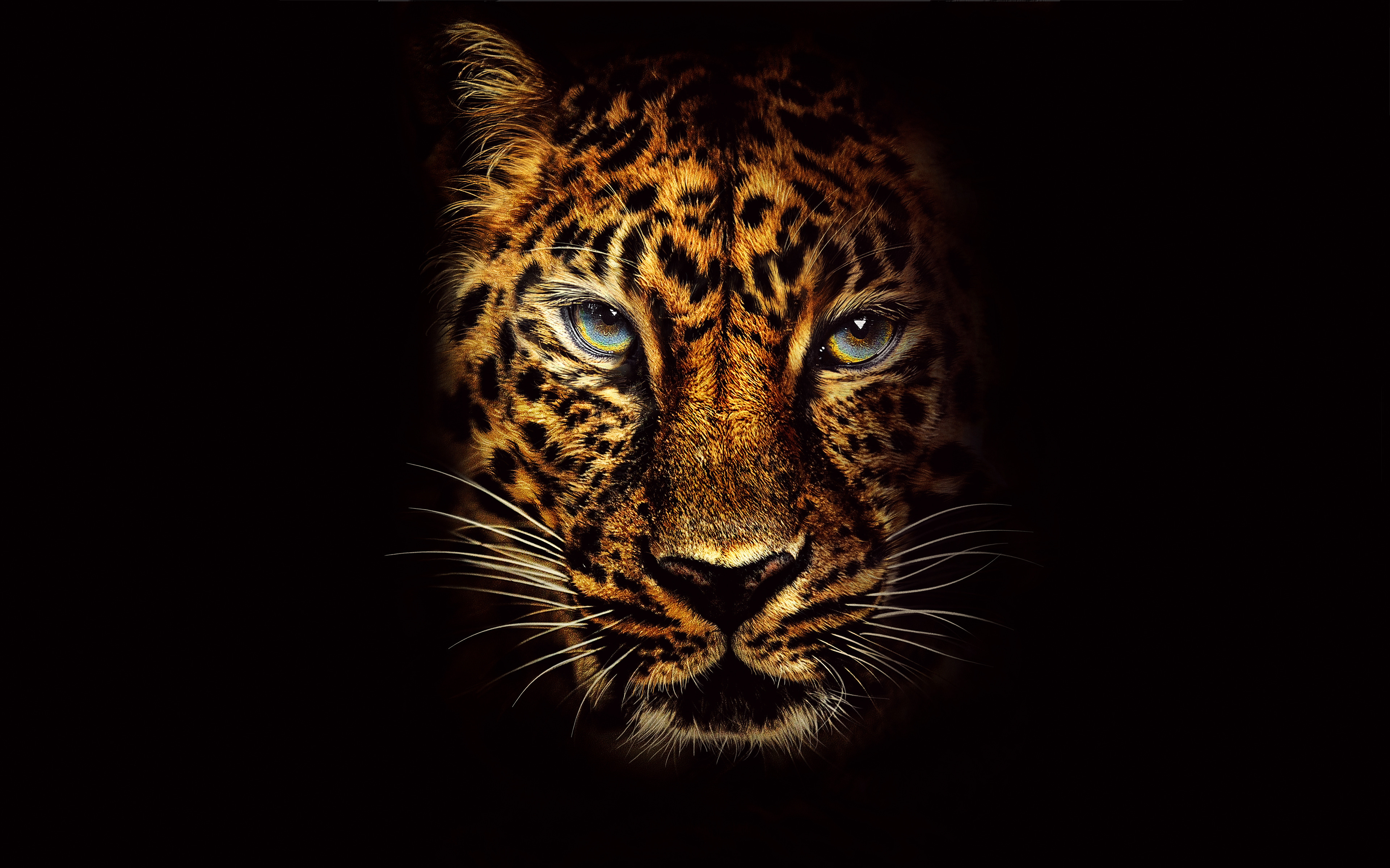 Download 3840x2400 wallpaper leopard, predator, jumanji