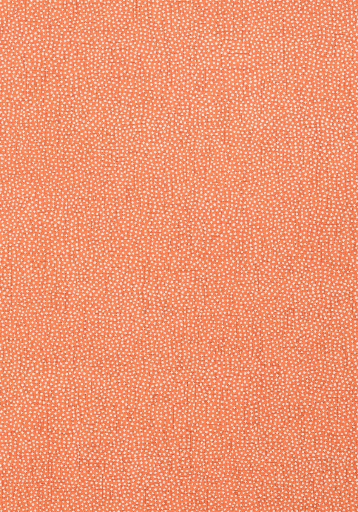 Thibaut Turini Dots Orange Wallpaper 839 T 2967. Trend