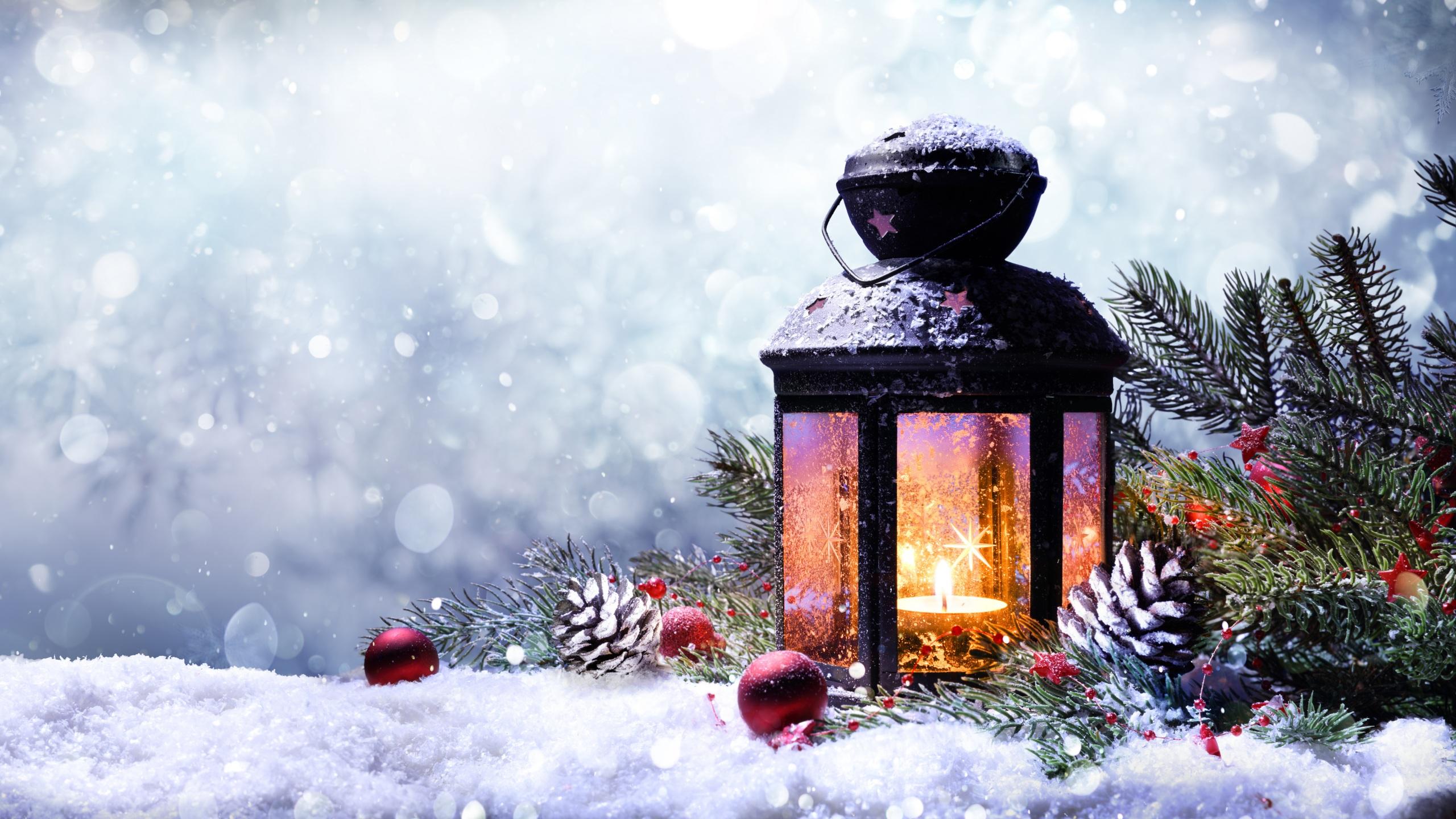 Picture Christmas Lantern Nature Winter Snow Balls 2560x1440