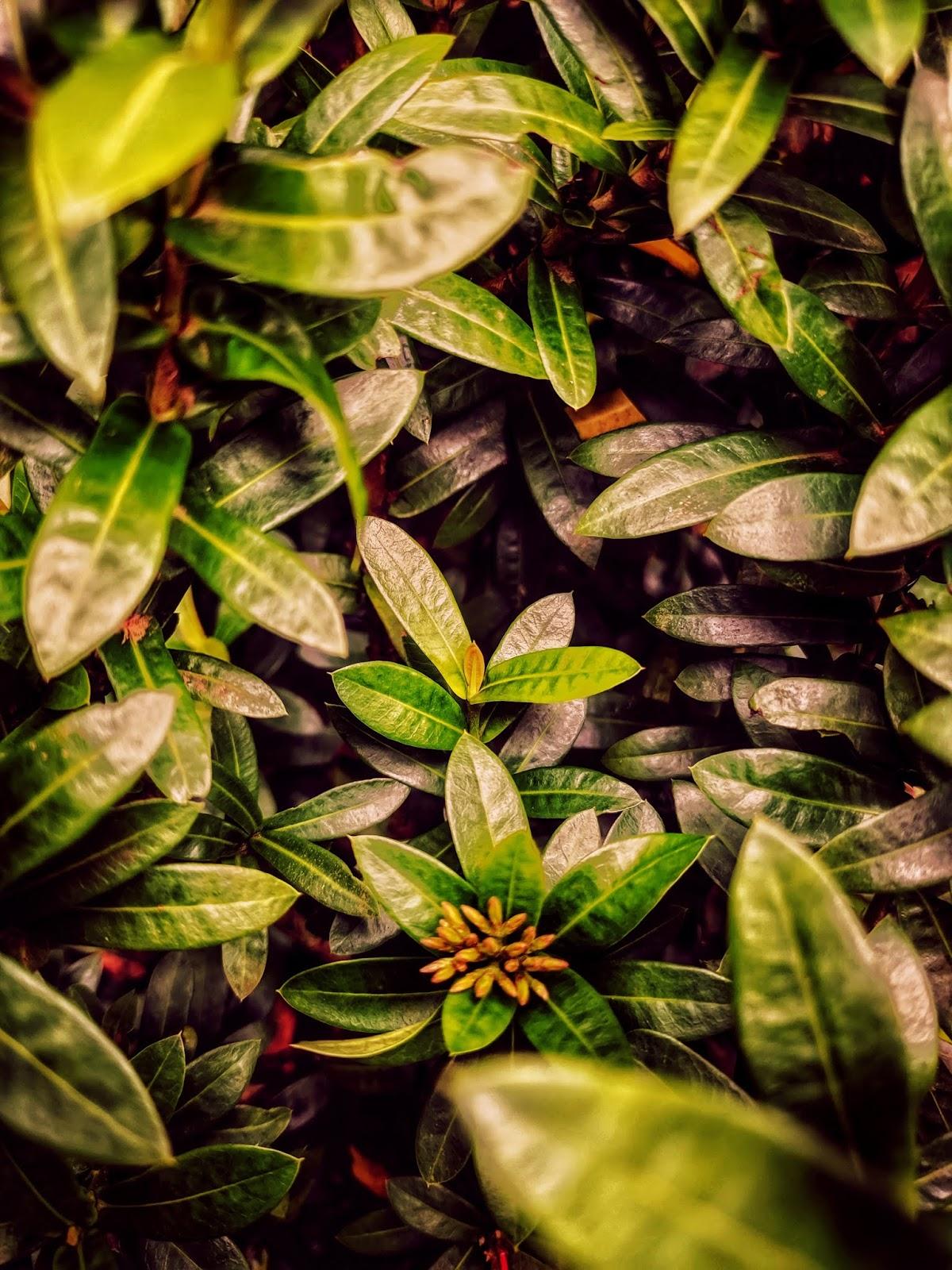 mobile wallpaper HD. mobile wallpaper HD for redmi