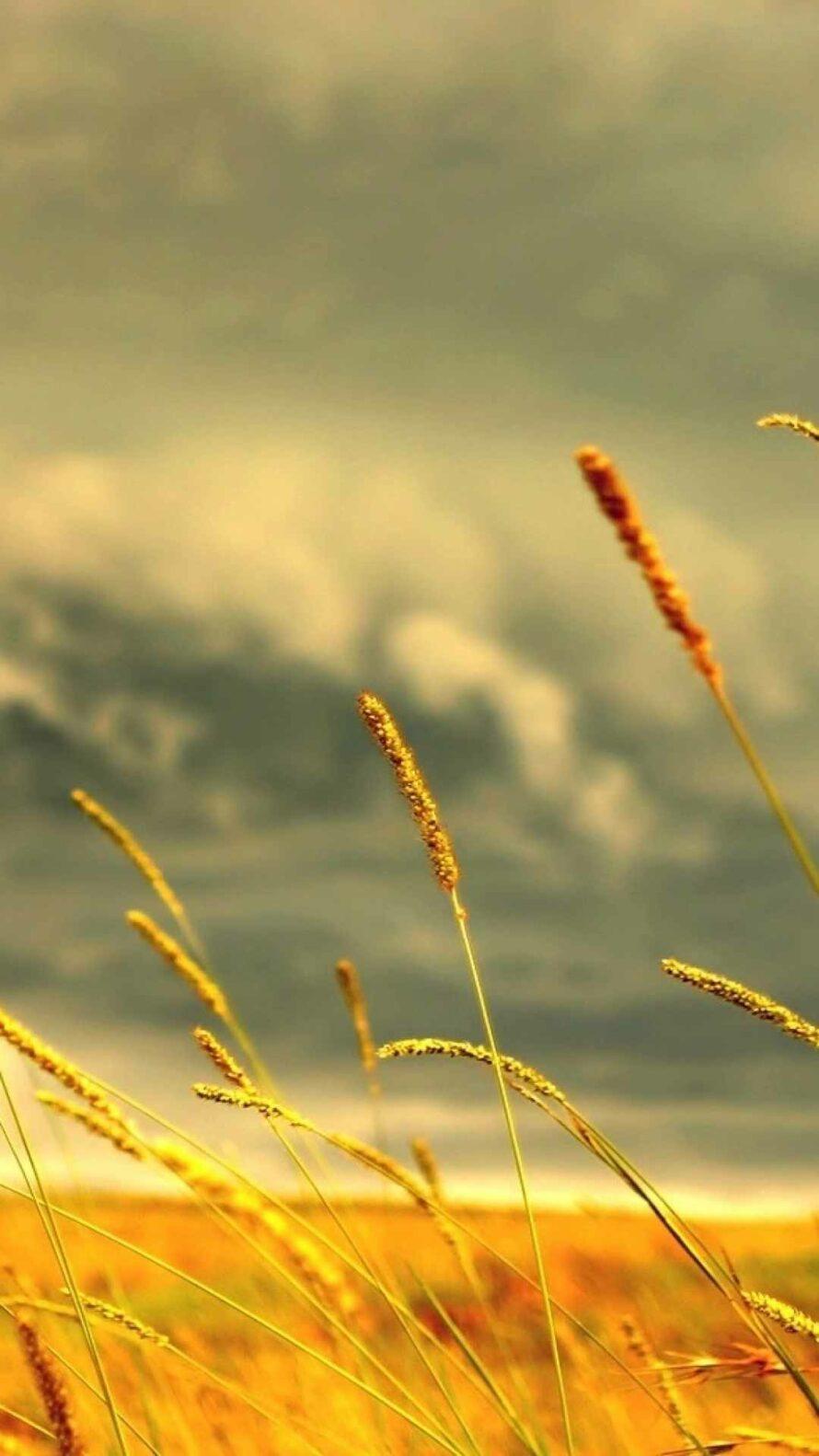 Abstract Cell Phone Wallpaper HD Mobile Wallpaper In 2019