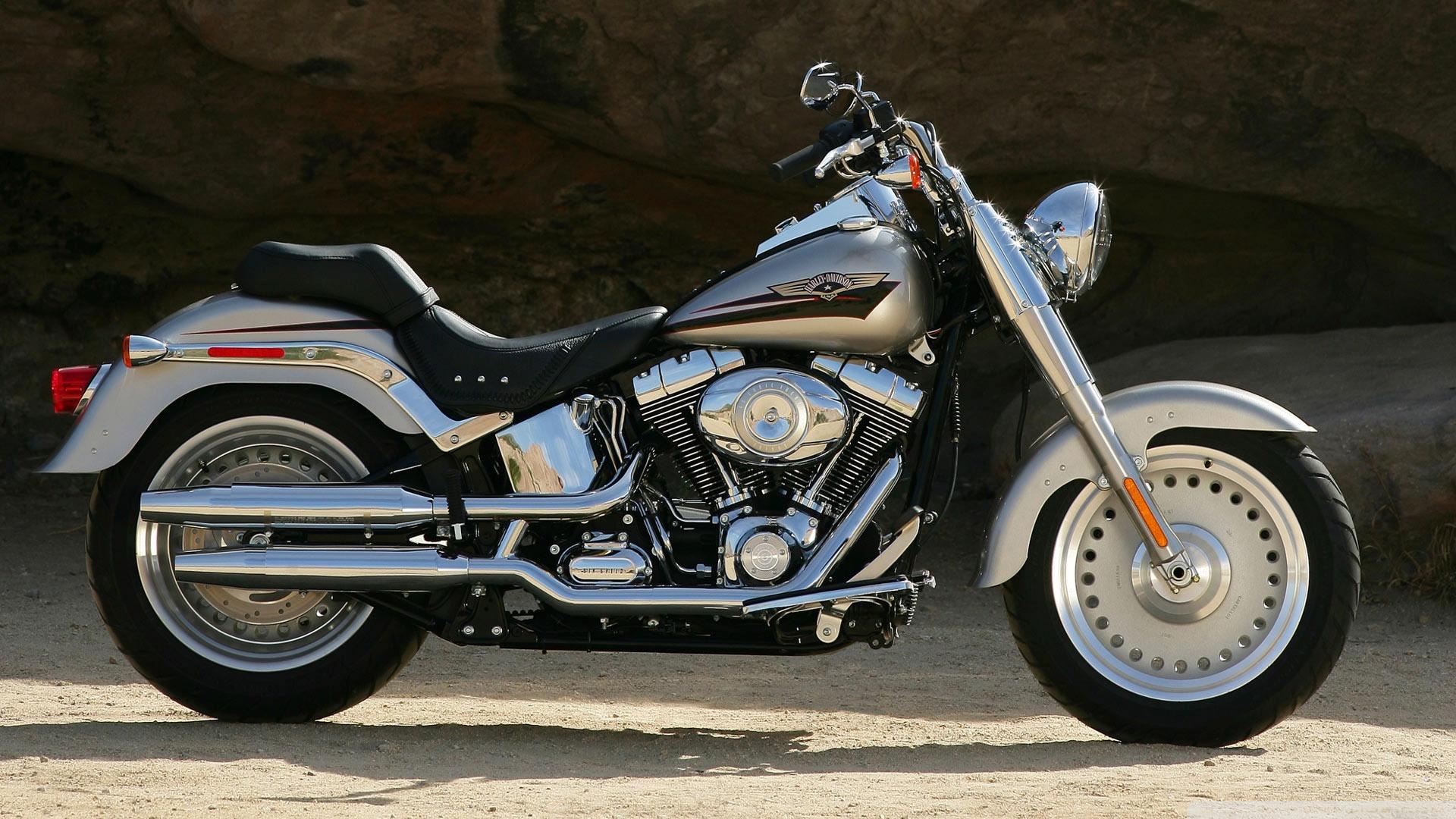 Harley Davidson Bike HD Wallpaper Davidson Fat Boy