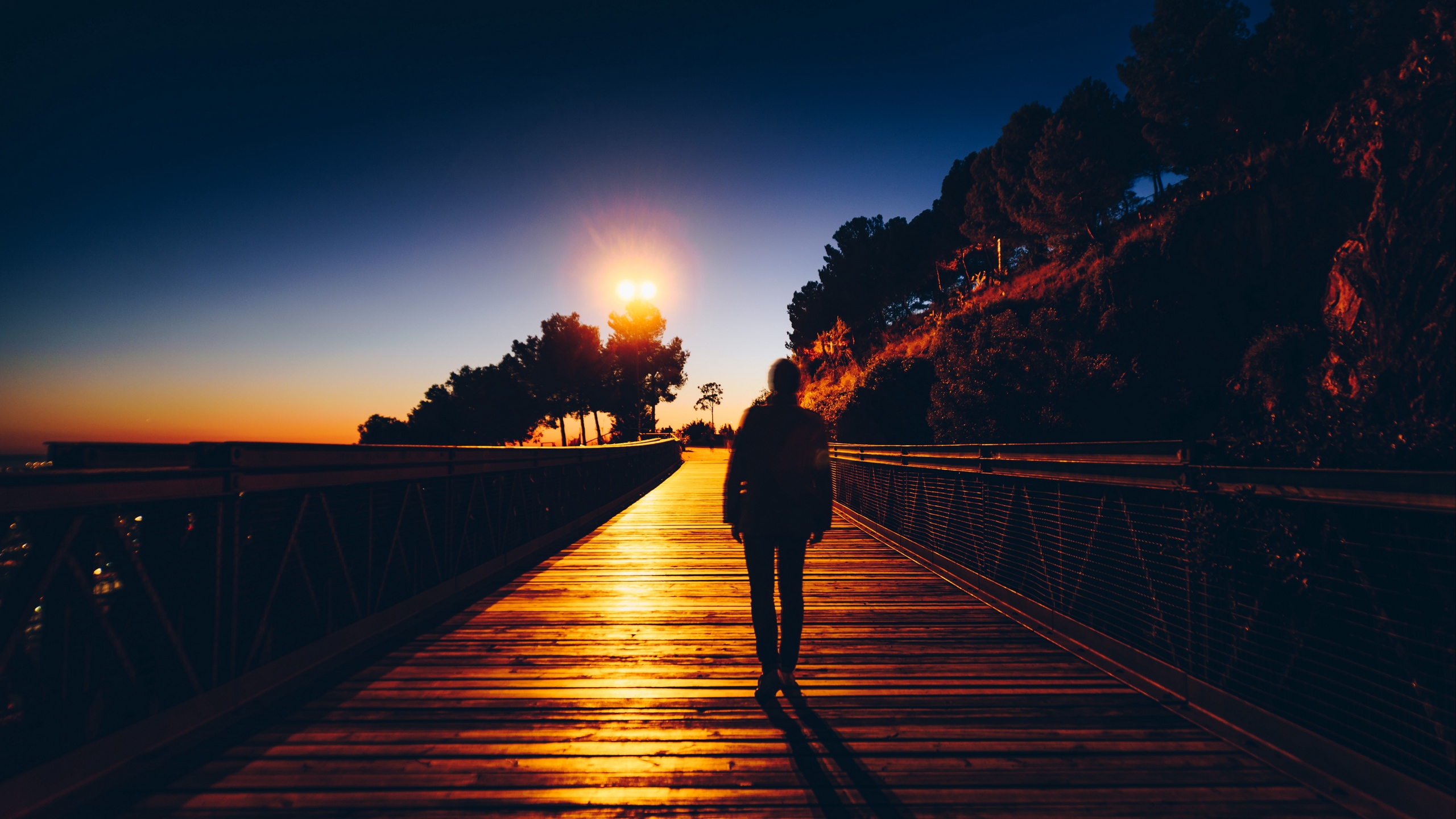 Download wallpaper 2560x1440 silhouette, sunset, solitude