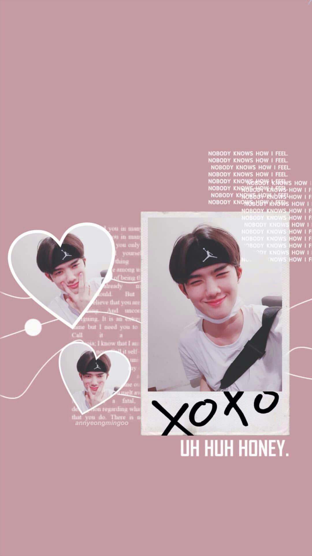 Kang Minhee #wallpaper. Anak kucing lucu, Selebritas, dan Lucu