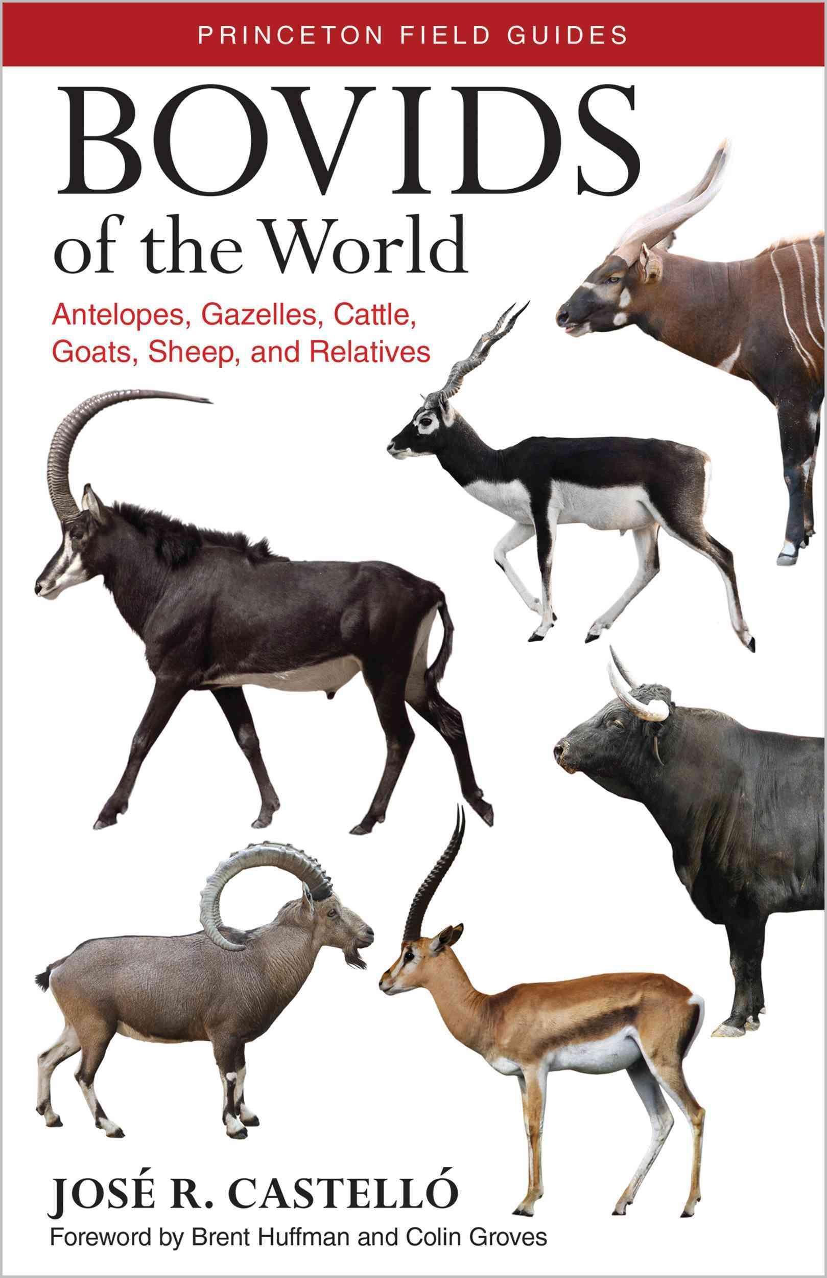 Bovids of the World: Antelopes, Gazelles, Cattle, Goats