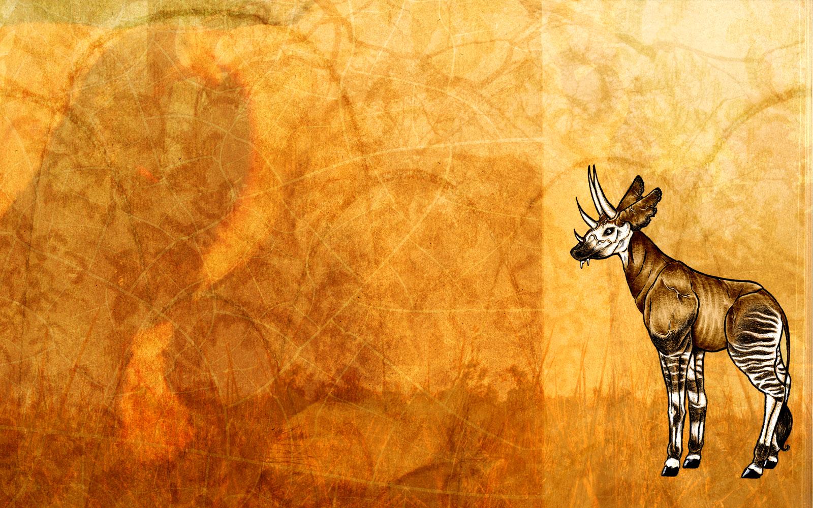 Okapi Background. Okapi Wallpaper