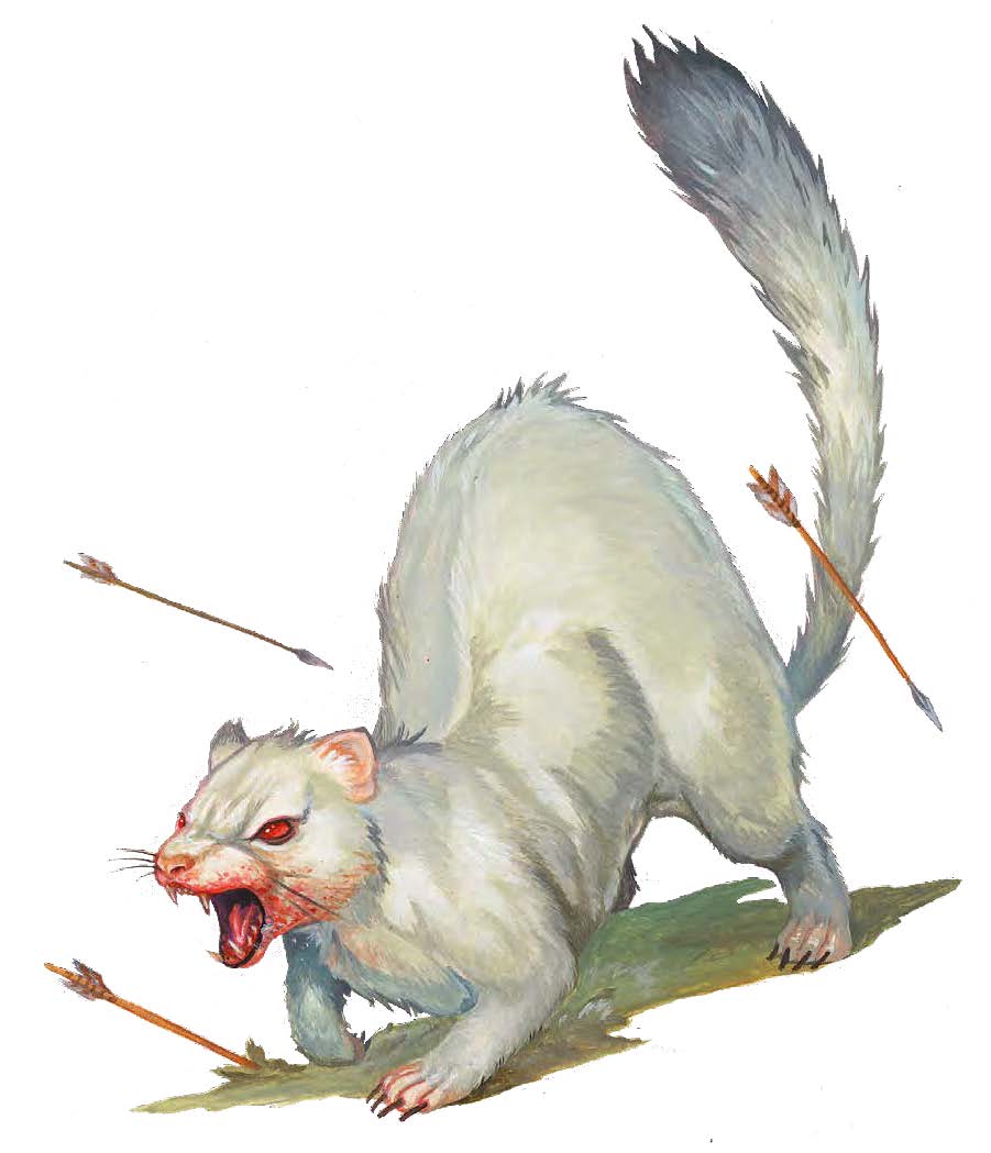 Expanding Codex: Albino Death Weasel
