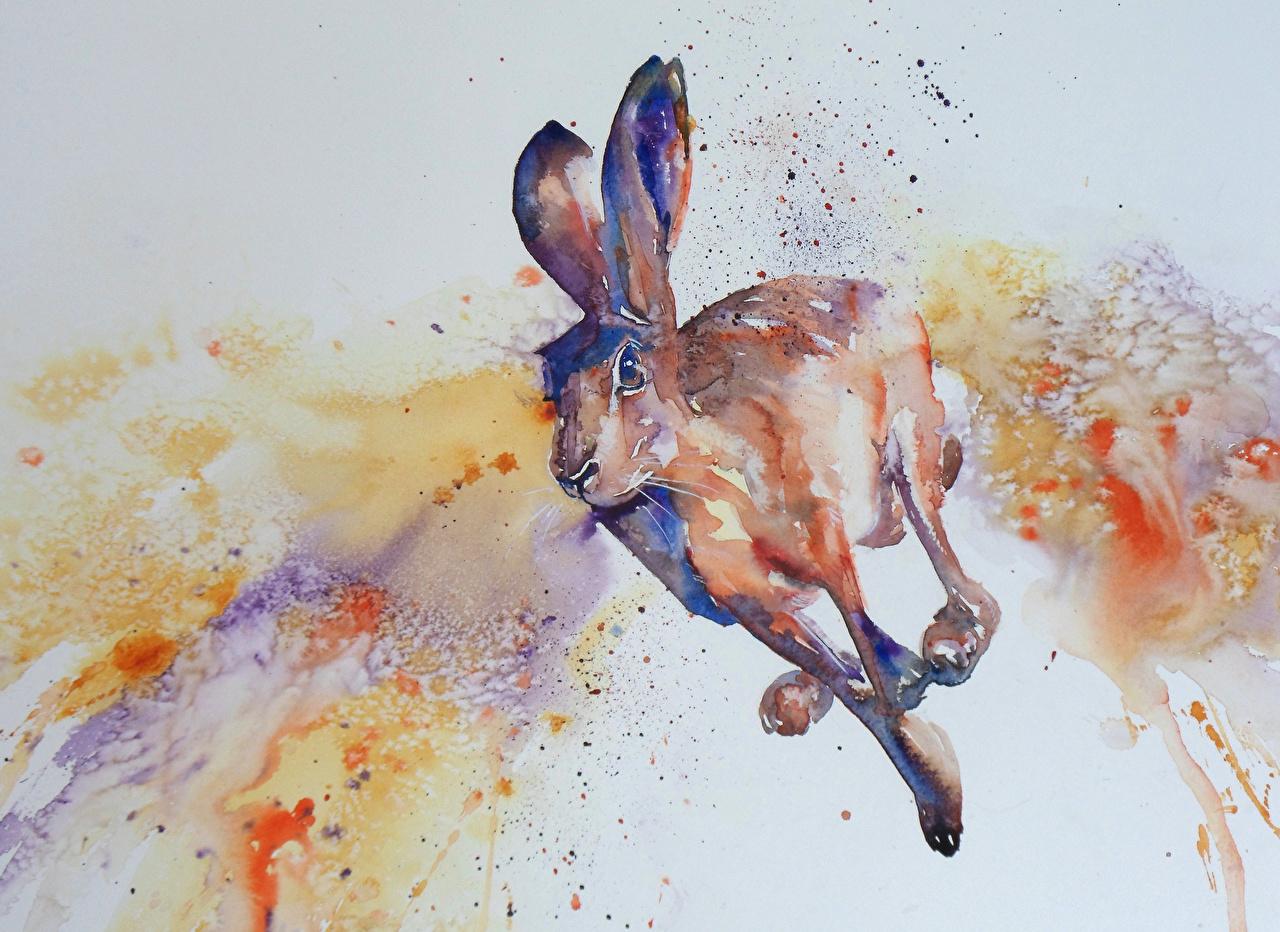 Desktop Wallpaper Hares Run Pictorial art animal Painting Art