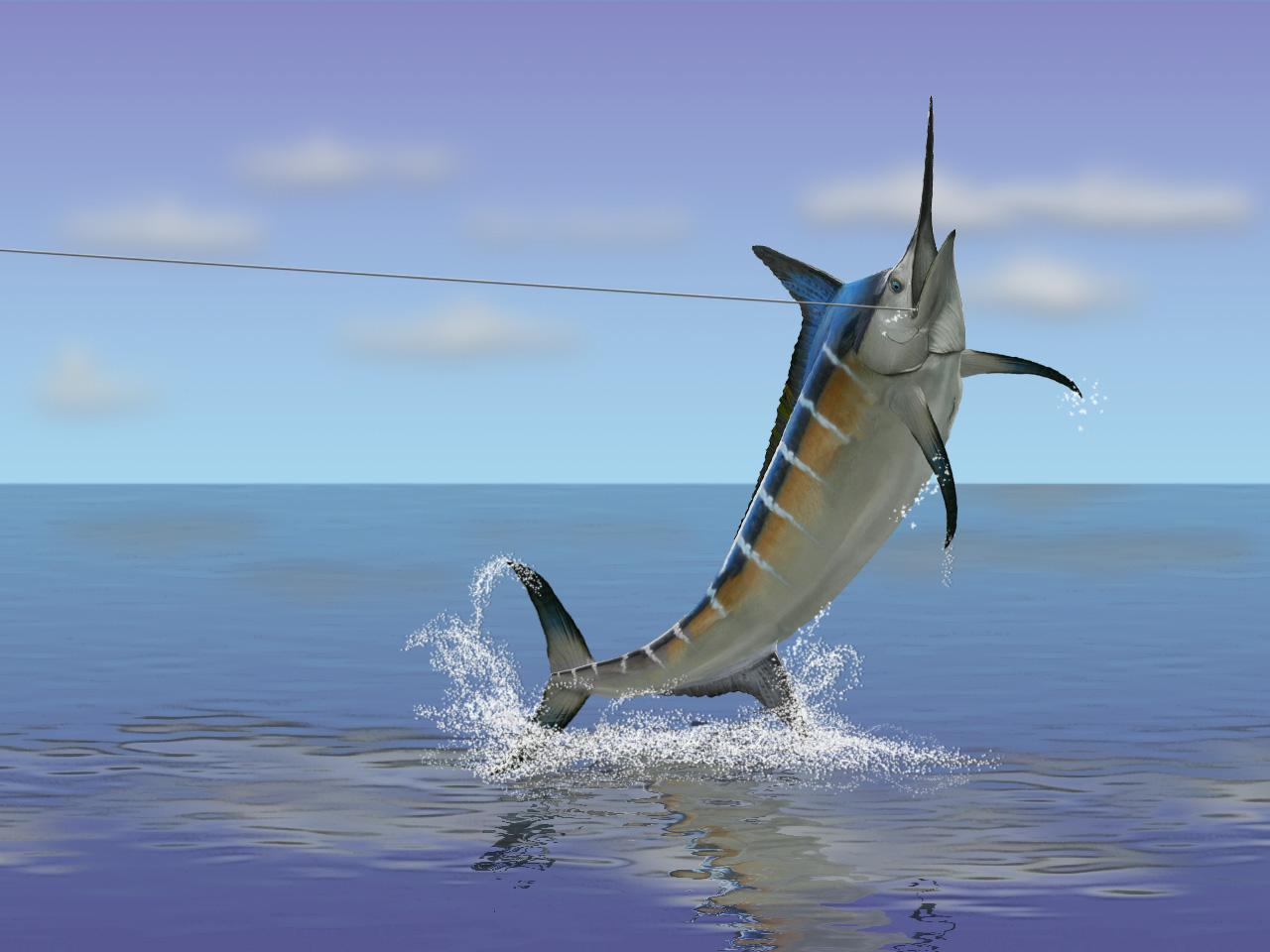 Swordfish Background. Swordfish