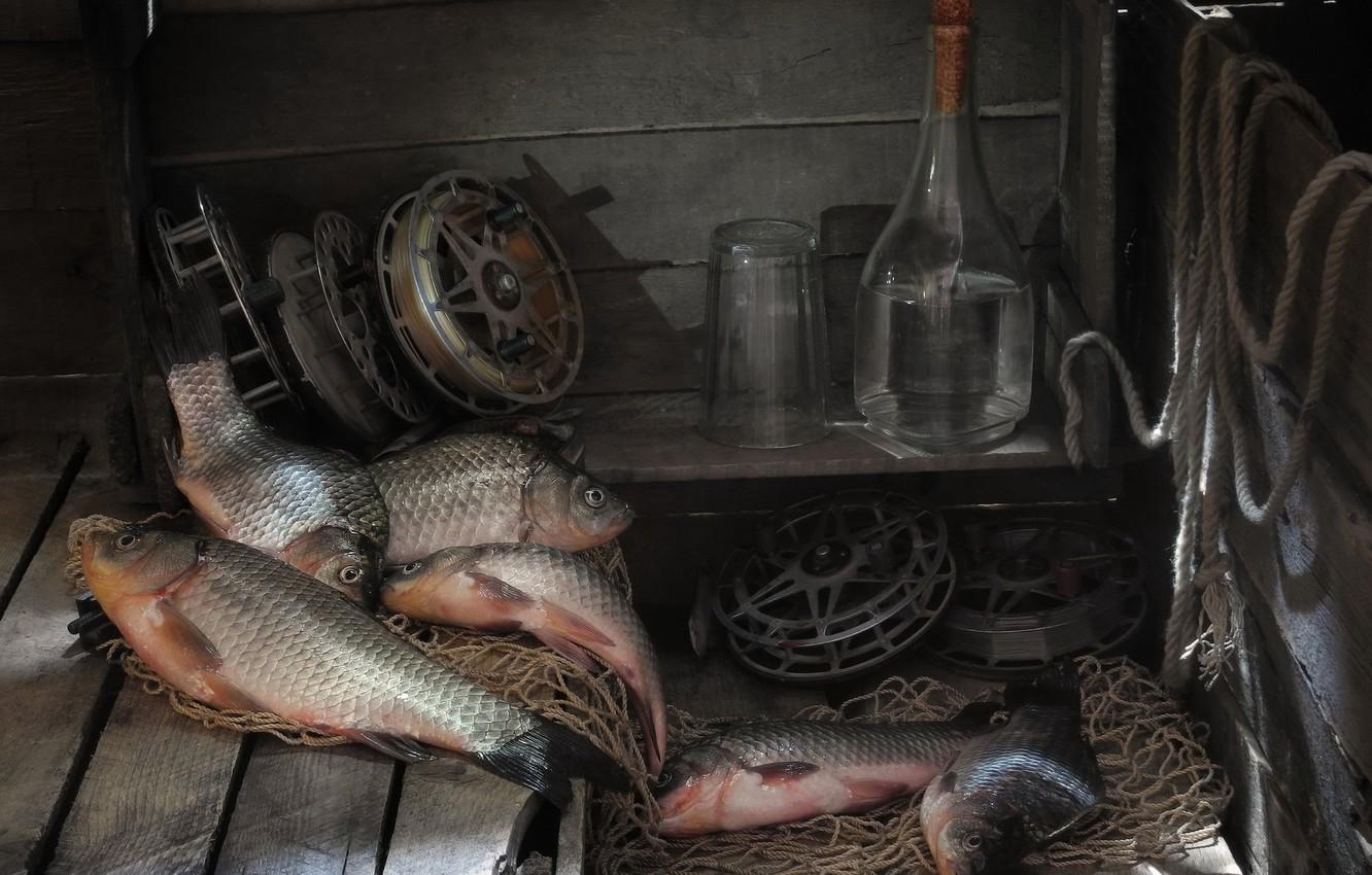 Photo Wallpaper Fish, Vodka, Carp Products, HD