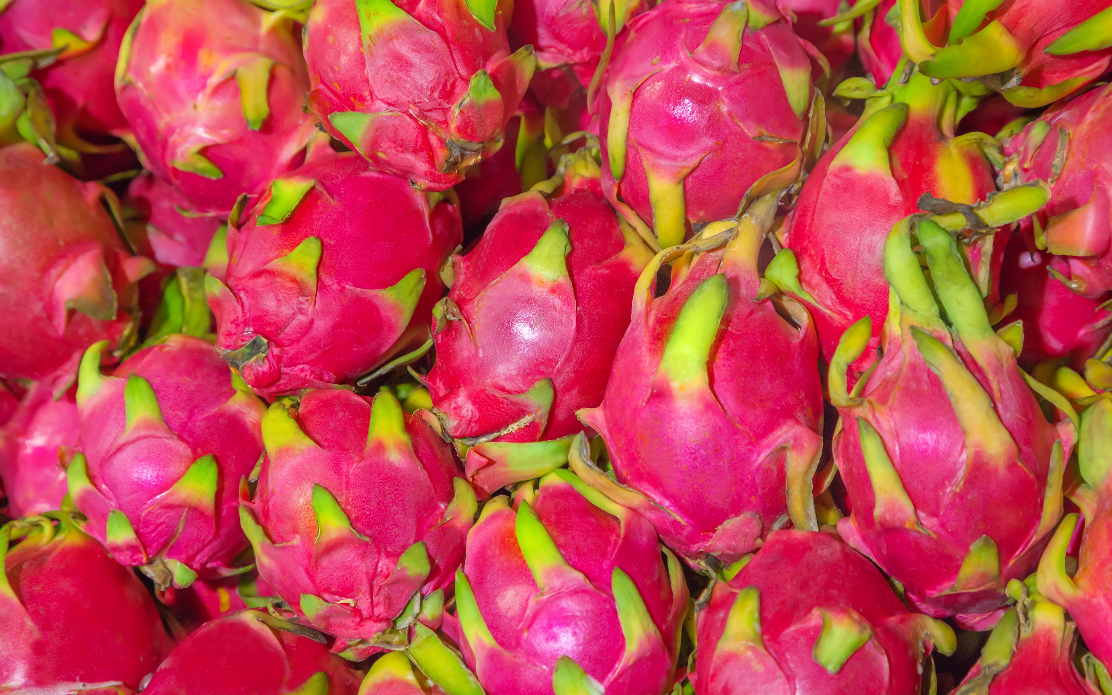image Pitaya Pink color Food Fruit Closeup 3840x2400