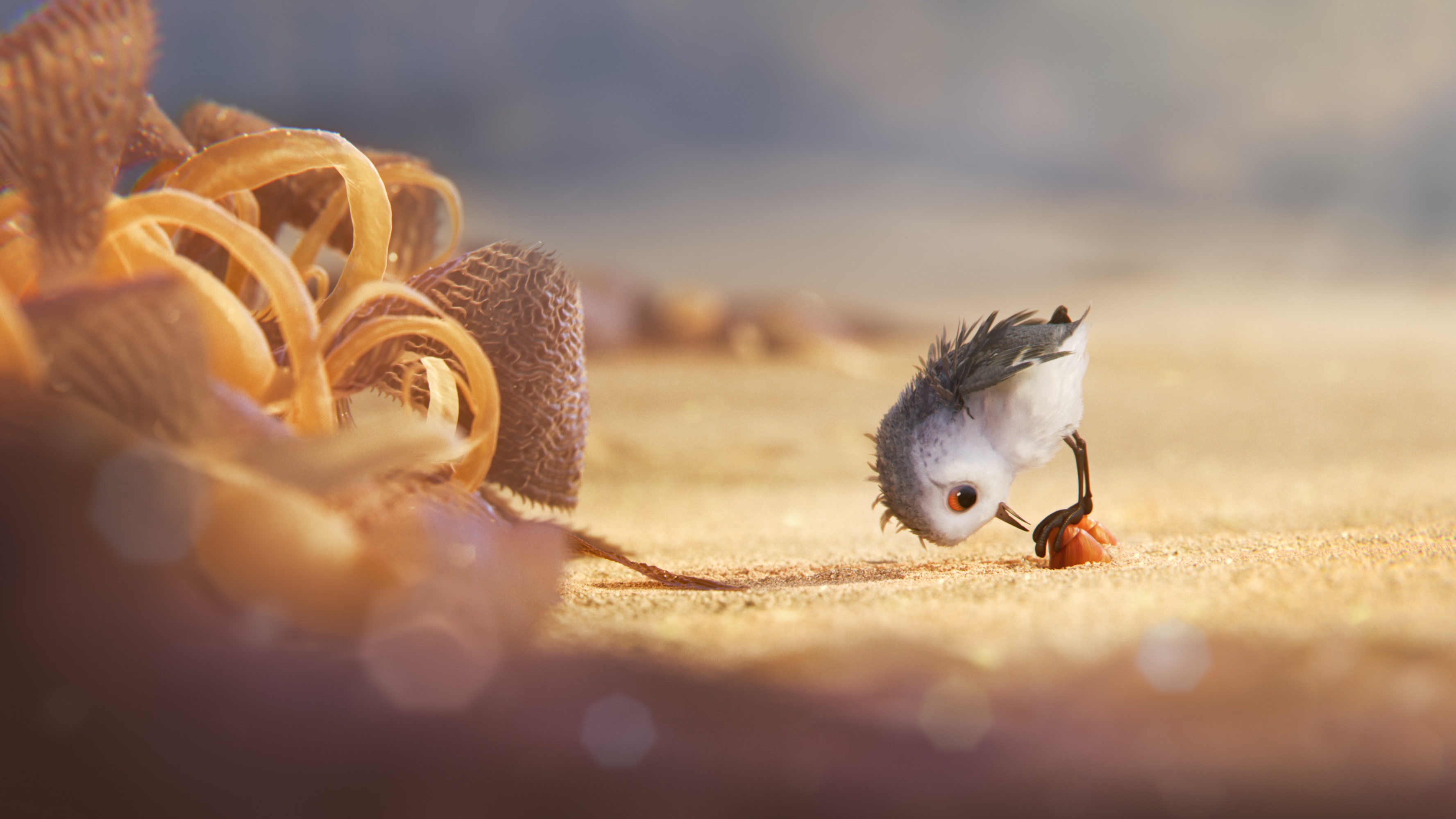 Hungry Baby Sandpiper In Piper 2016 Wallpaper