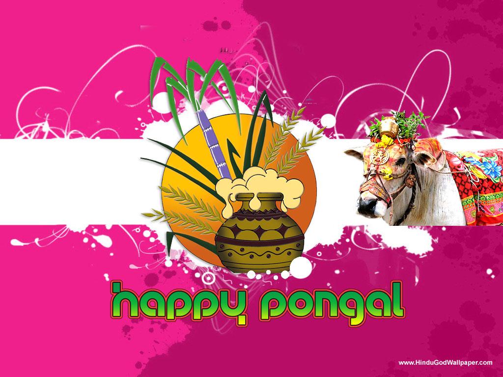 Pongal Greetings Pongal Hd, HD Wallpaper