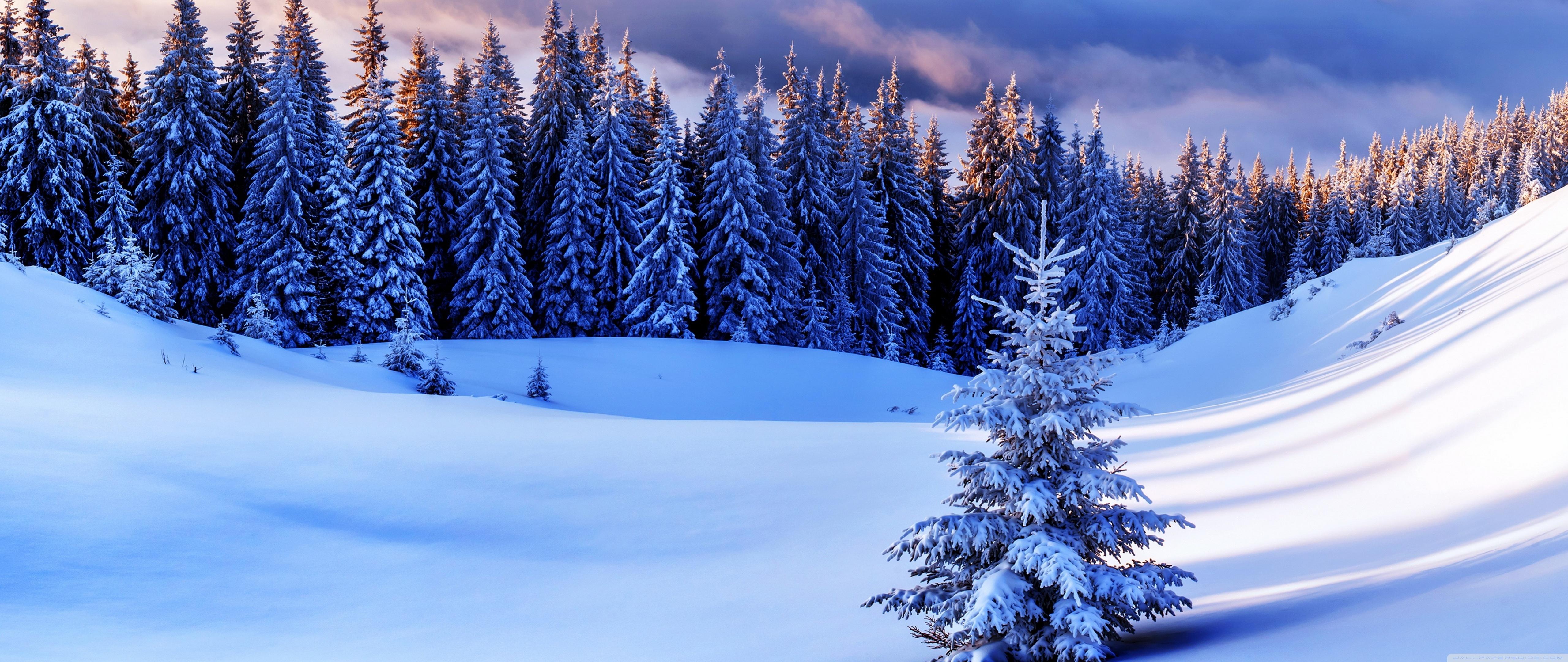 Winter Season, Mountains Ultra HD Desktop Background