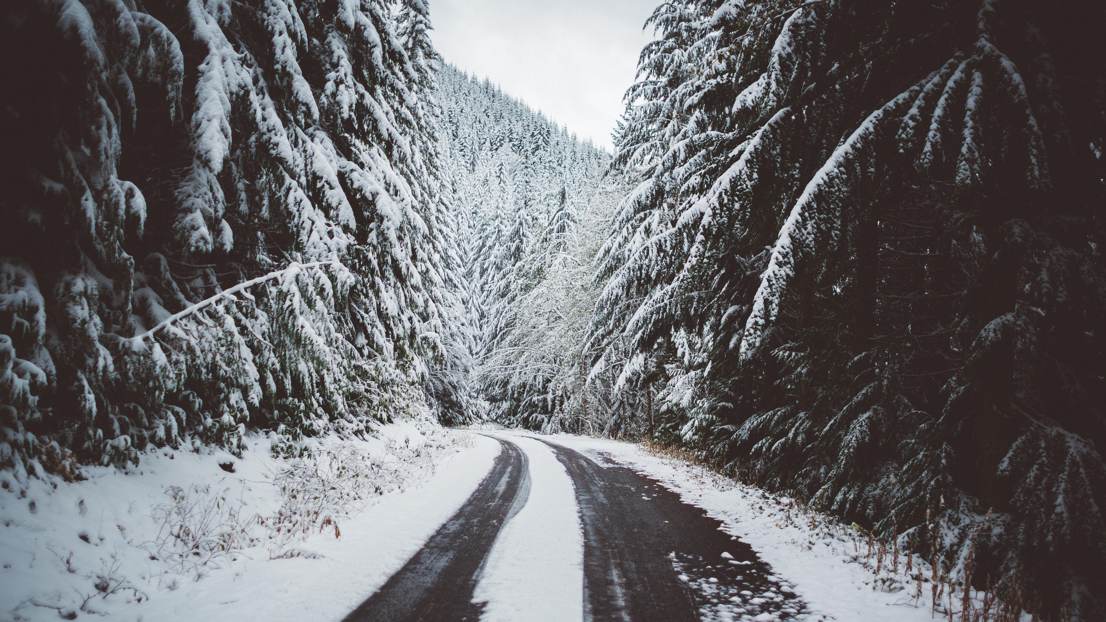 Download wallpaper 3840x2160 road, snow, trees, winter 4k