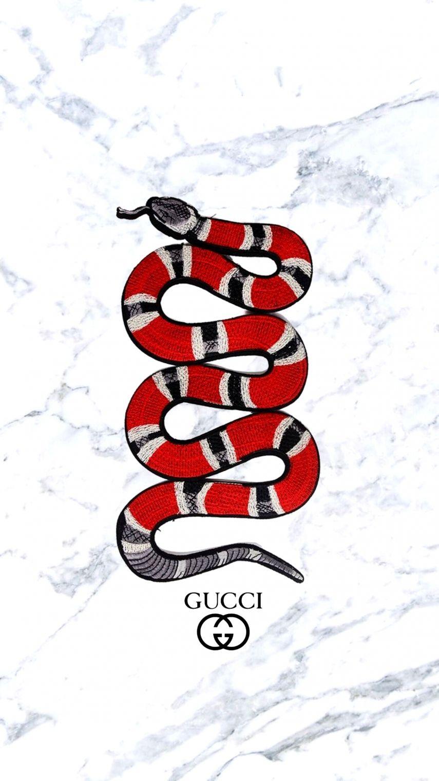 Gucci Snake Wallpaper Free Gucci Snake Background