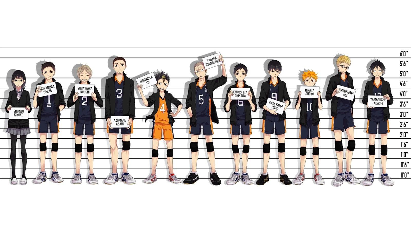Anime characters posing for mug shot digital wallpaper, Haikyuu, Haikyuu!! HD wallpaper