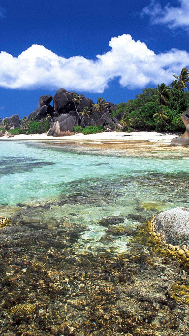 HD Tropical Beach iPhone Background