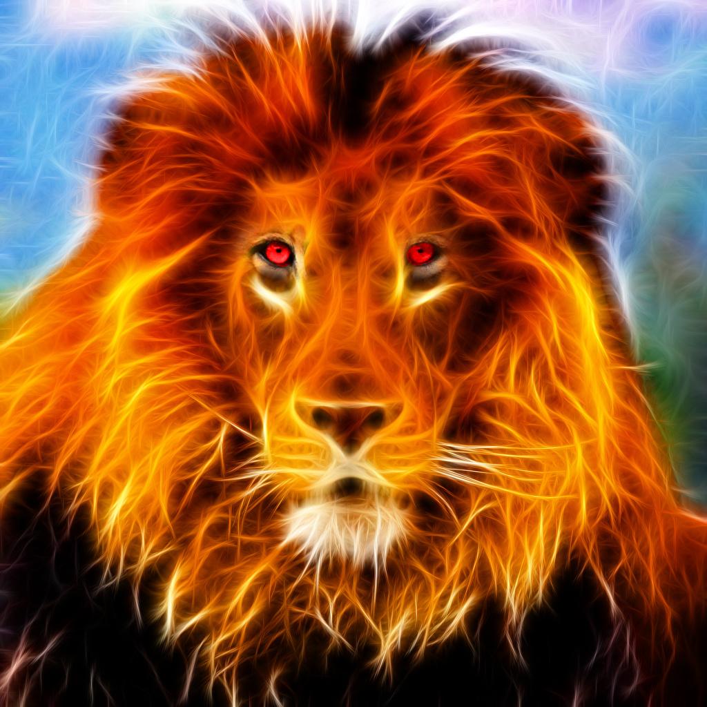 image Lions Big cats 3D Graphics Fire Snout Head Glance Animals
