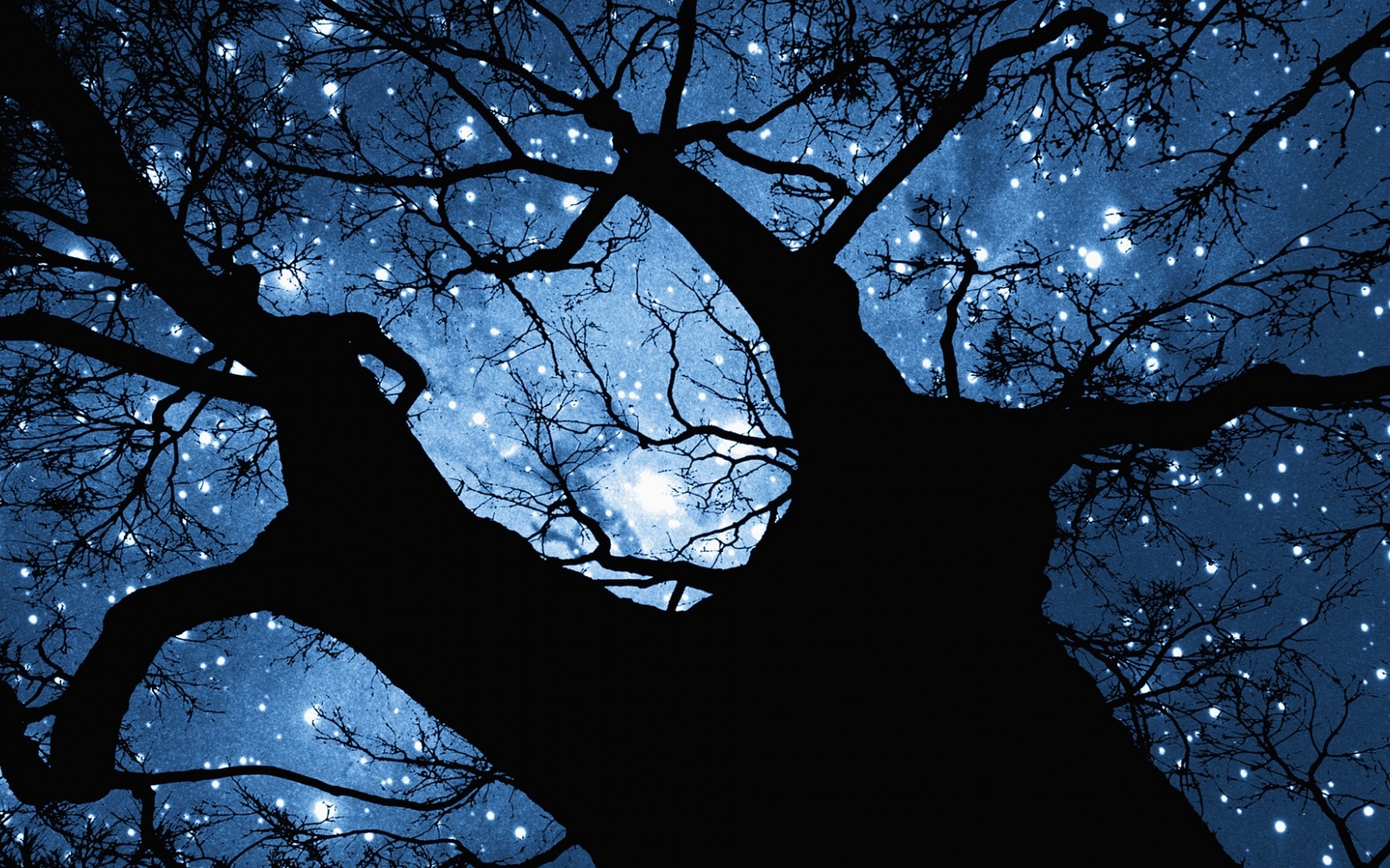 Free download Stars Computer Wallpaper Desktop Background