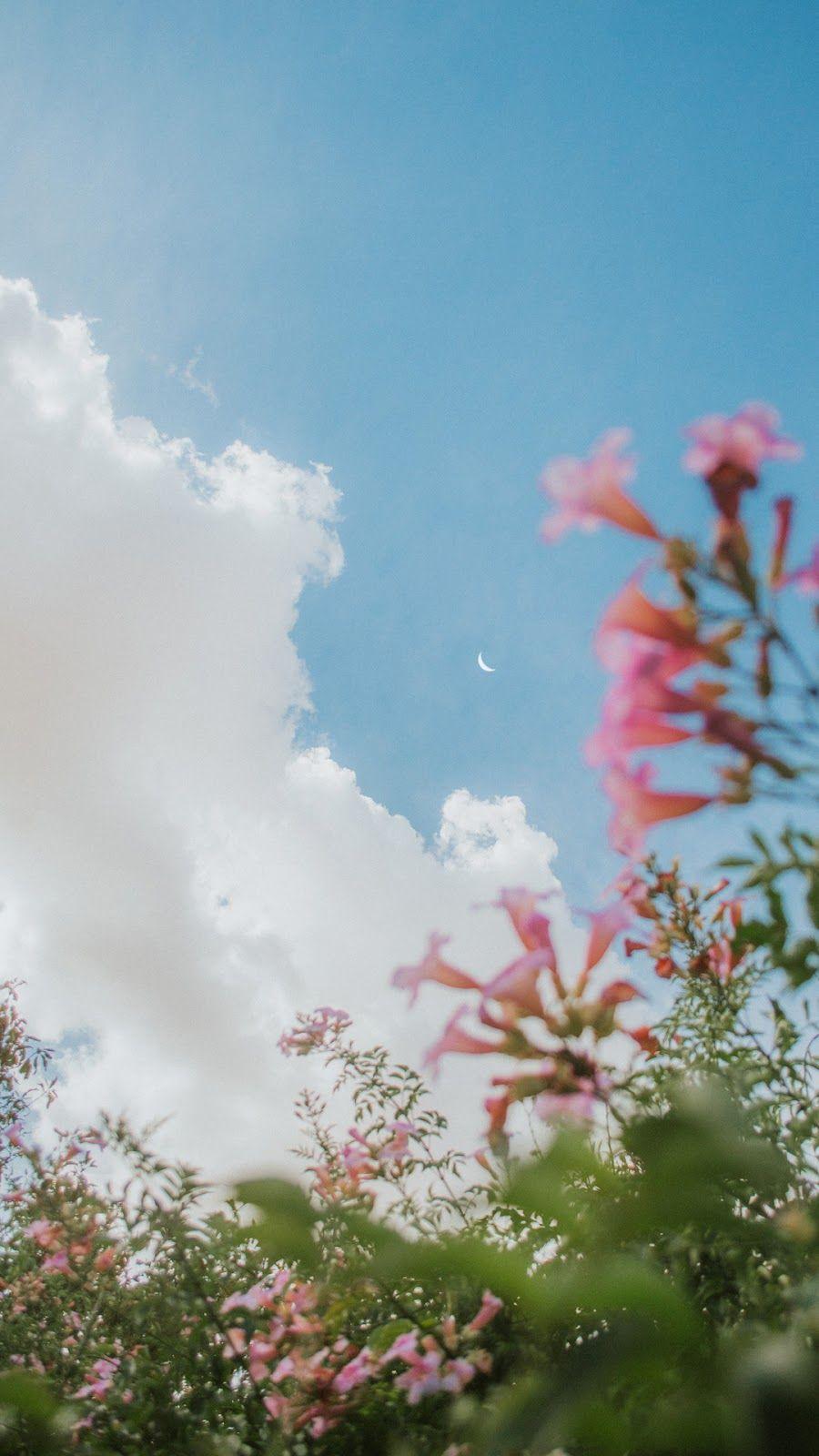 Aesthetic sky. Aesthetic background, Pretty wallpaper