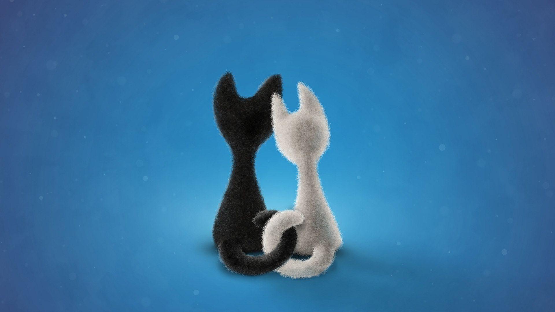 Animated Cat Desktop Wallpaper Free Animated Cat