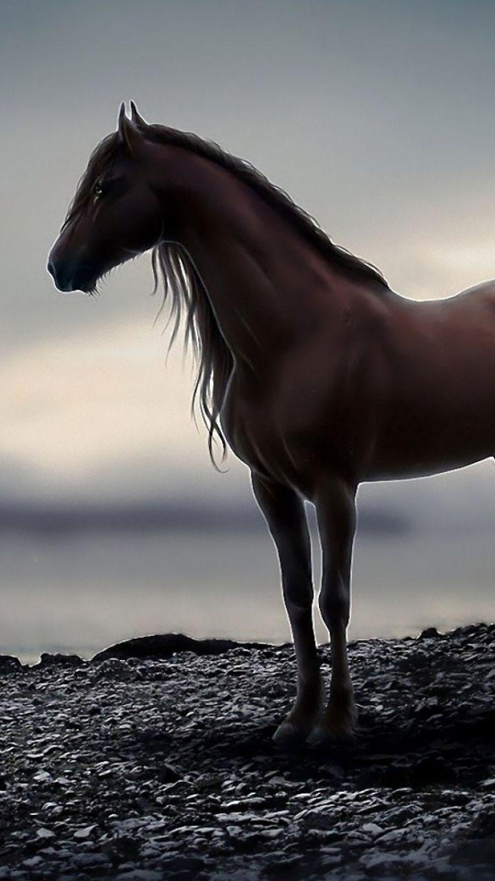 Aesthetic Horse Wallpapers Wallpaper Cave