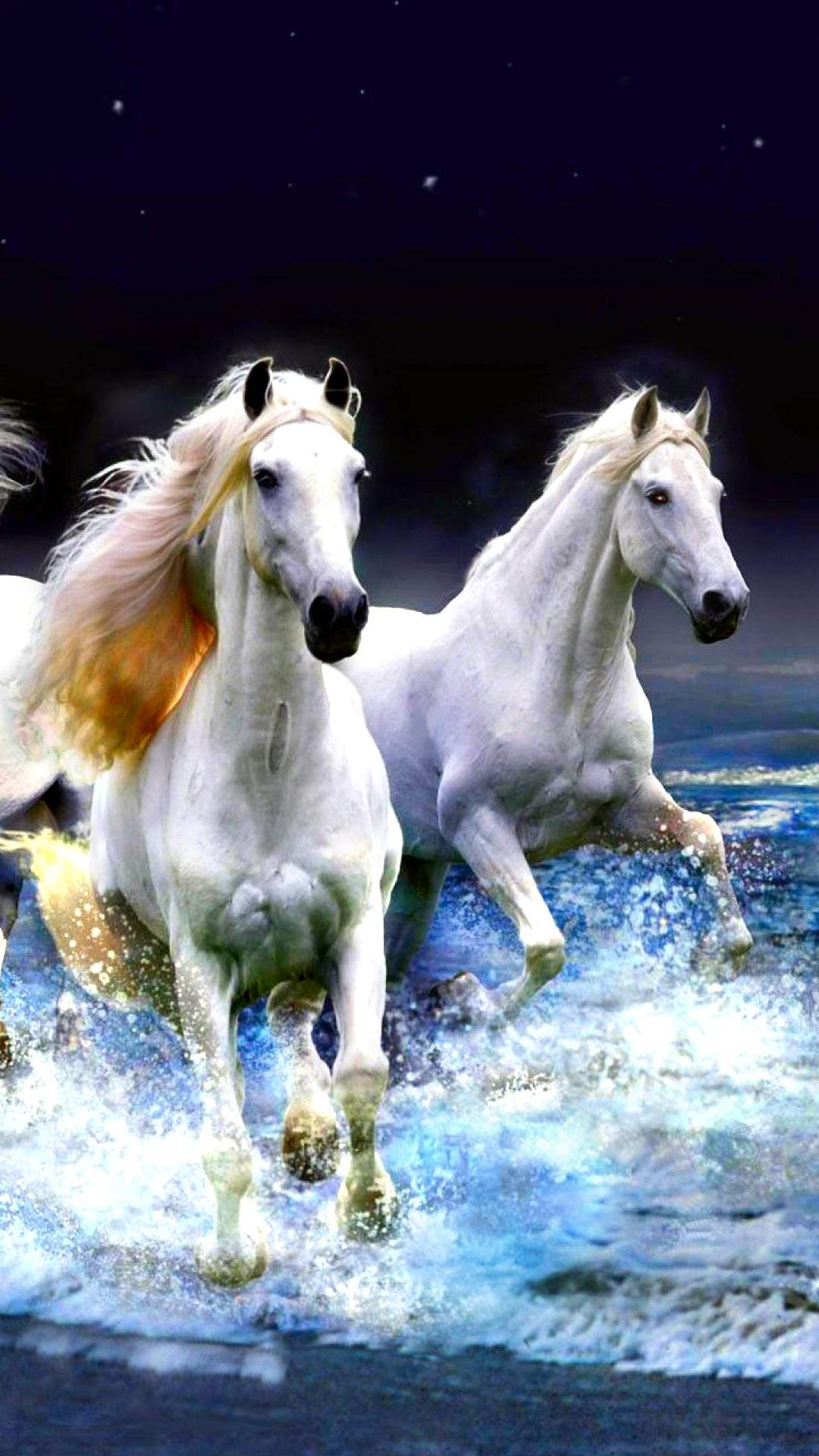 Seven Horse Mobile Wallpapers - Wallpaper Cave