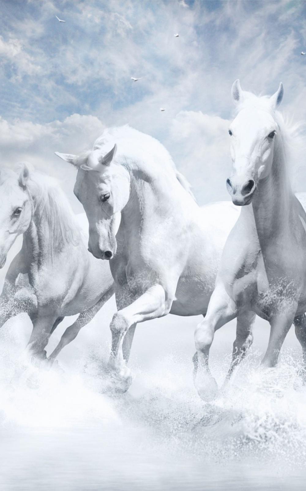 White Horses Mobile Wallpaper