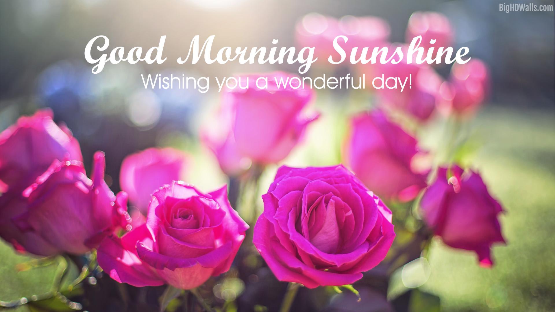 Collection Of 5 Beautiful Good Morning Wishes Flowers