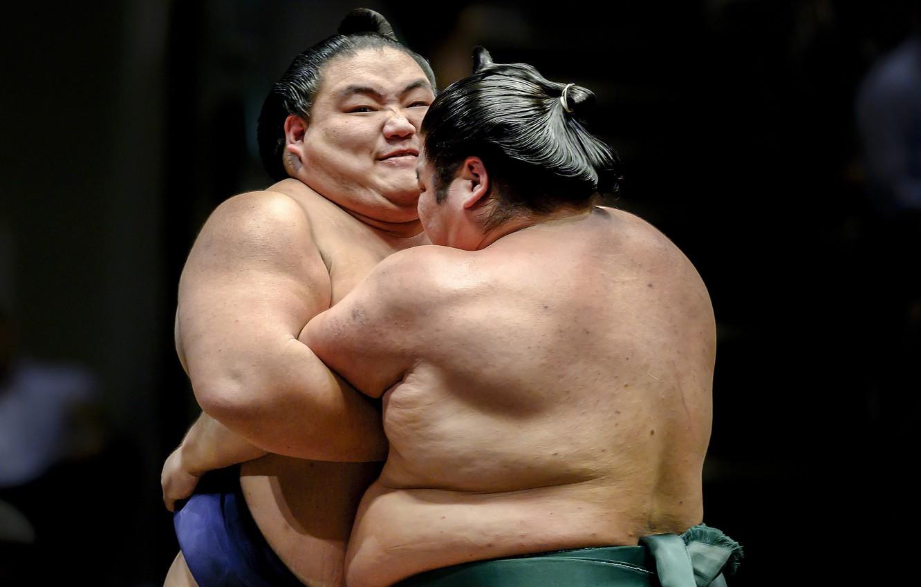 Wallpaper sport, fight, sumo image for desktop, section