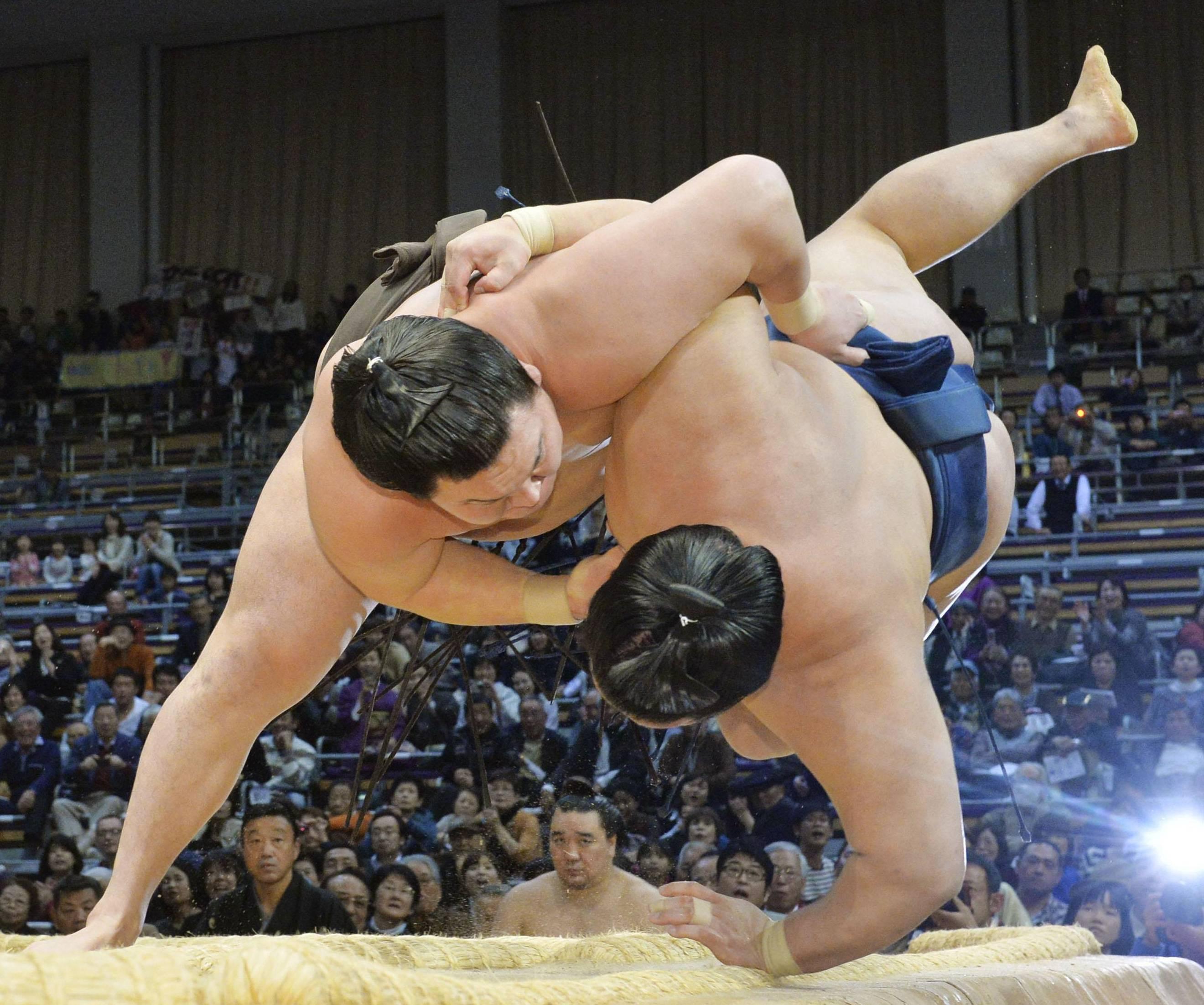 Sumo Wrestler Wallpaper High Quality