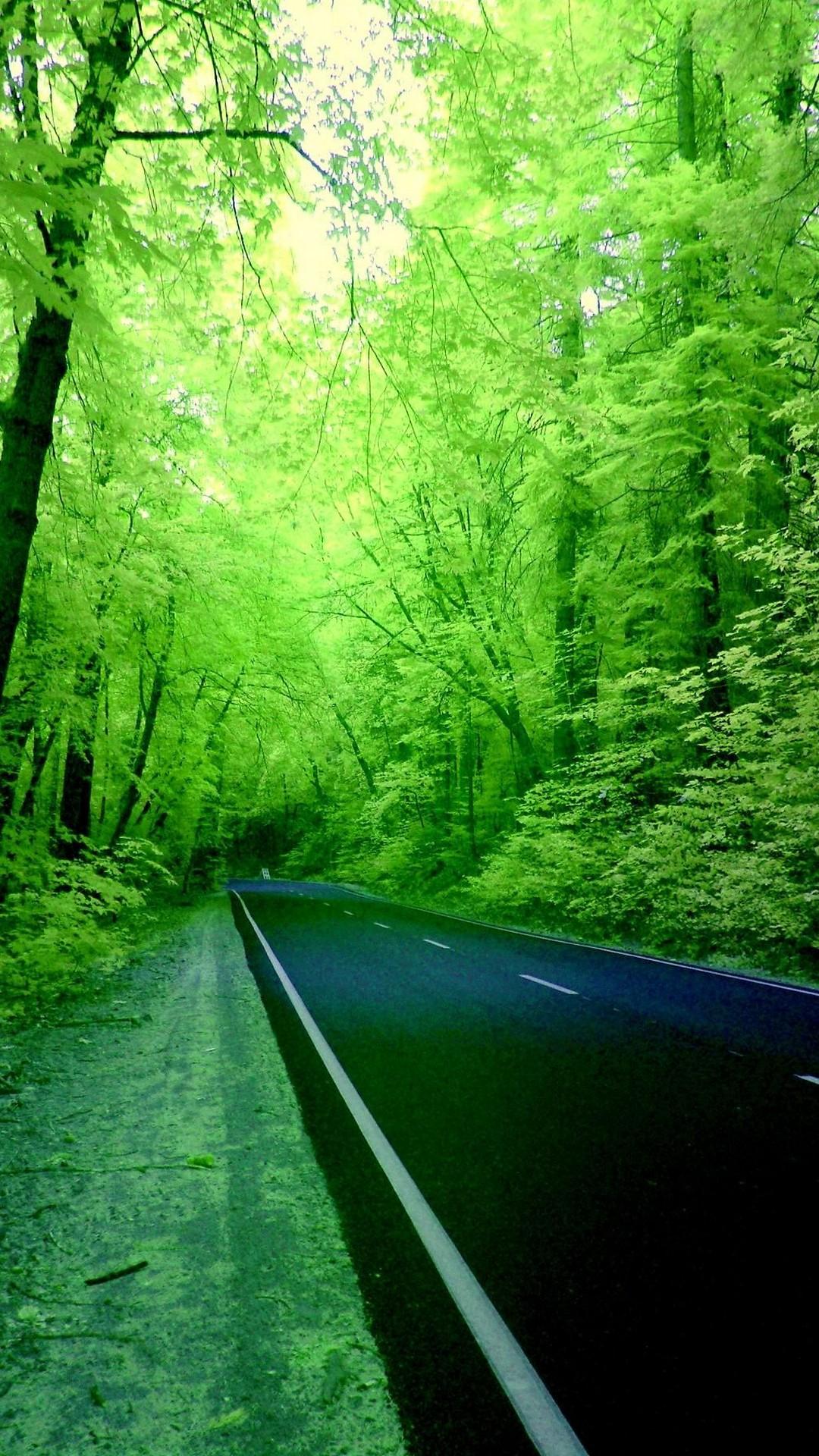 HD wallpaper: Road with a green tree, street, transportation, travel,  highway | Wallpaper Flare