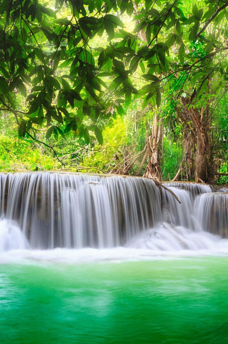 Green Nature Tropical Waterfall iphone HD wallpaper