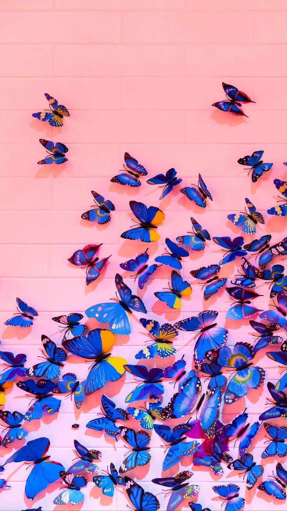 Butterflies, wall, decoration, design wallpaper. Background cool. Butterfly wallpaper iphone, Butterfly wallpaper, Bright wallpaper