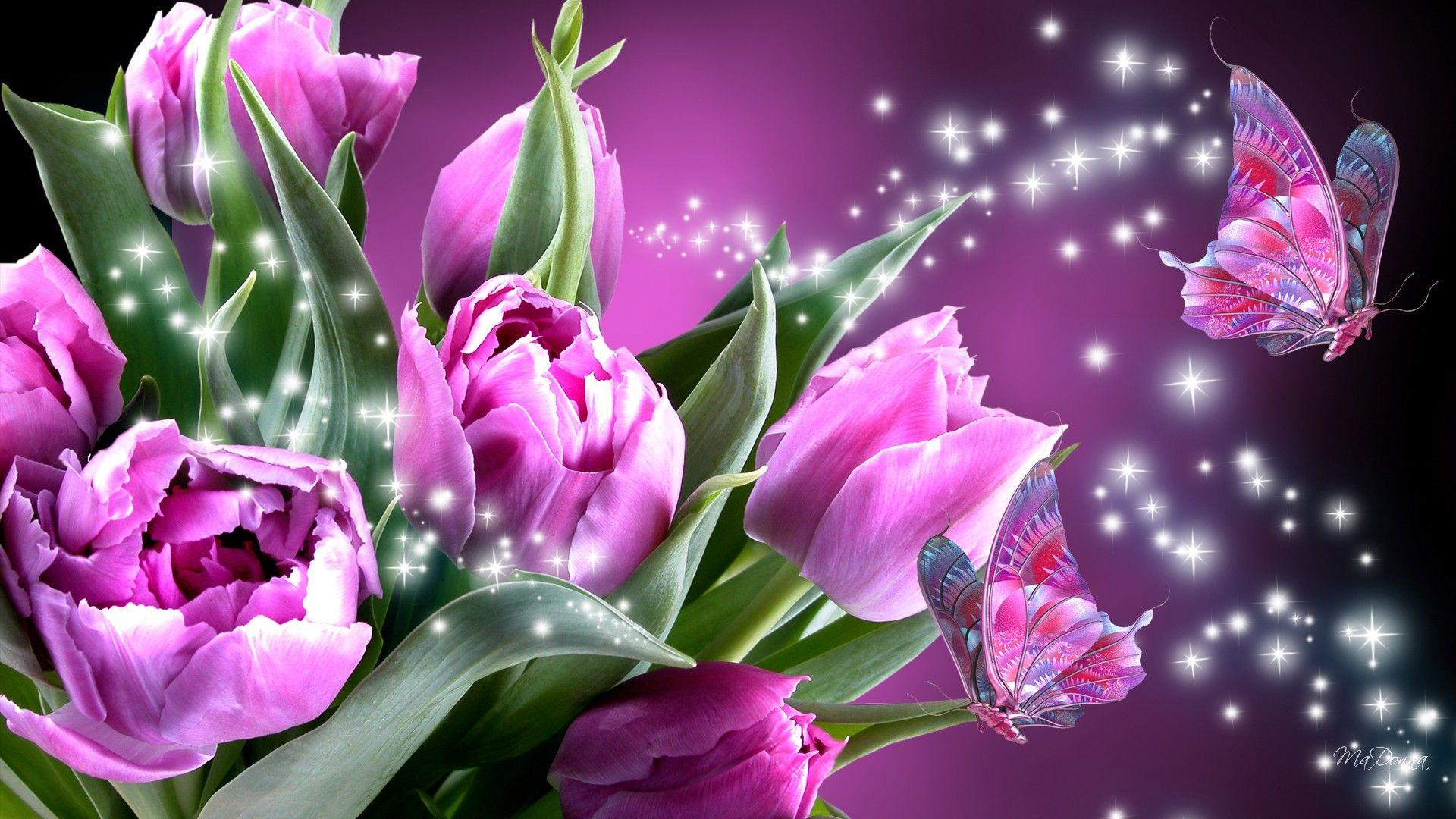 Tulips and Butterflies HD Wallpaper. Background Image