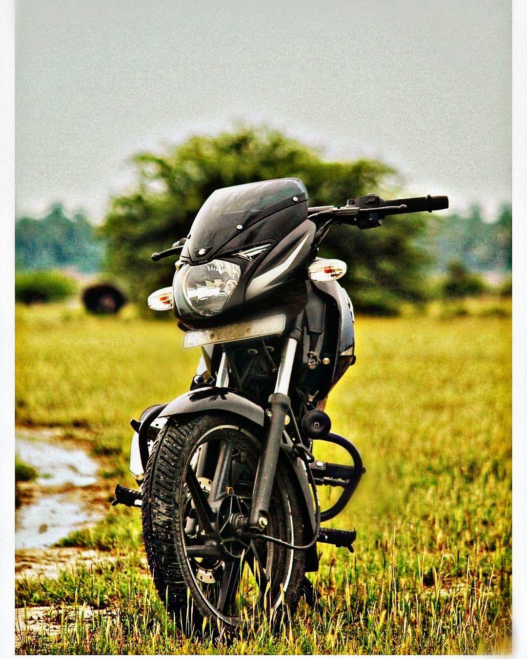 pulsar 150 lovers. HD