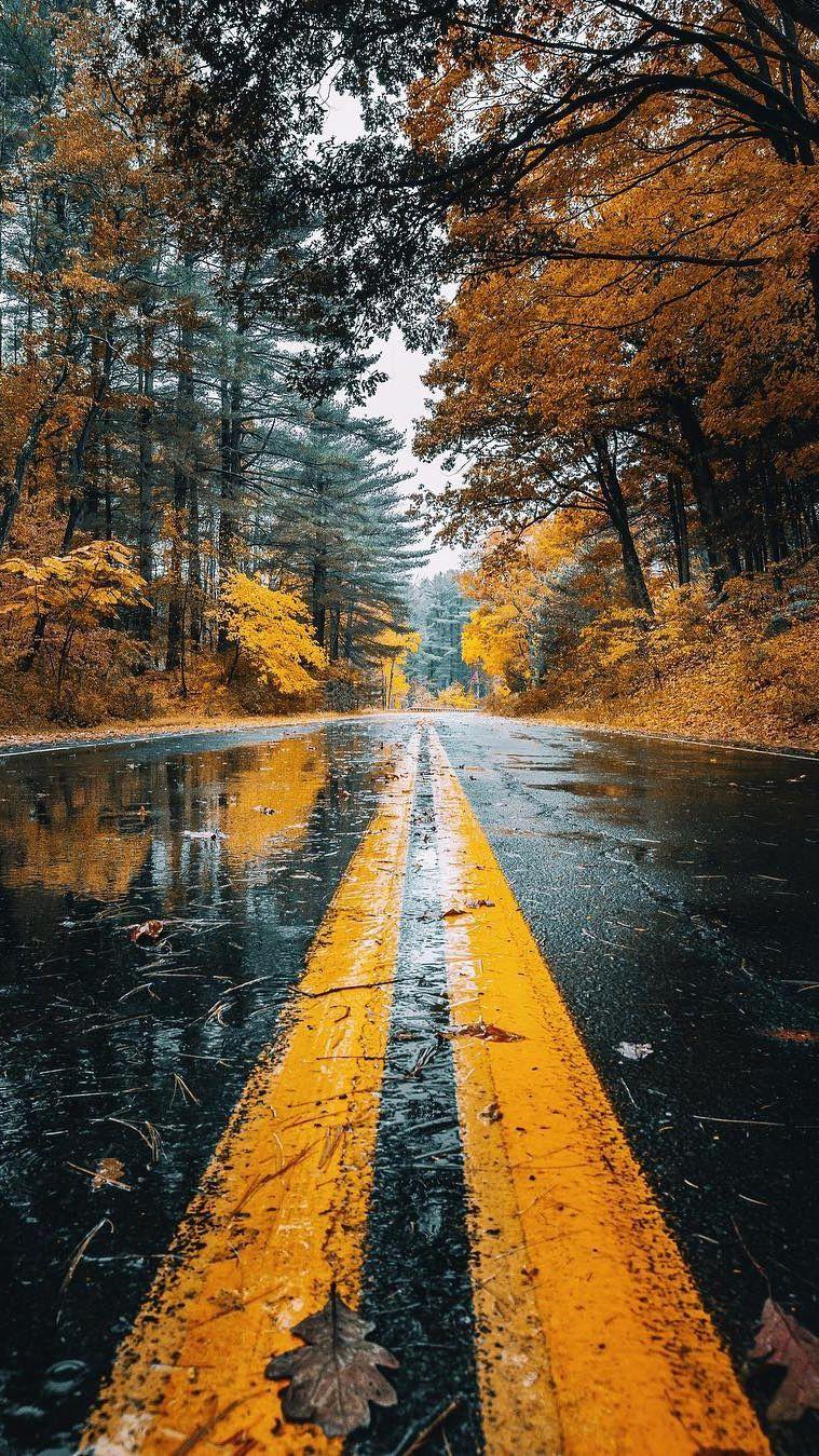 Autumn Road Rainfall Trees Android Wallpaper. Fotografia de